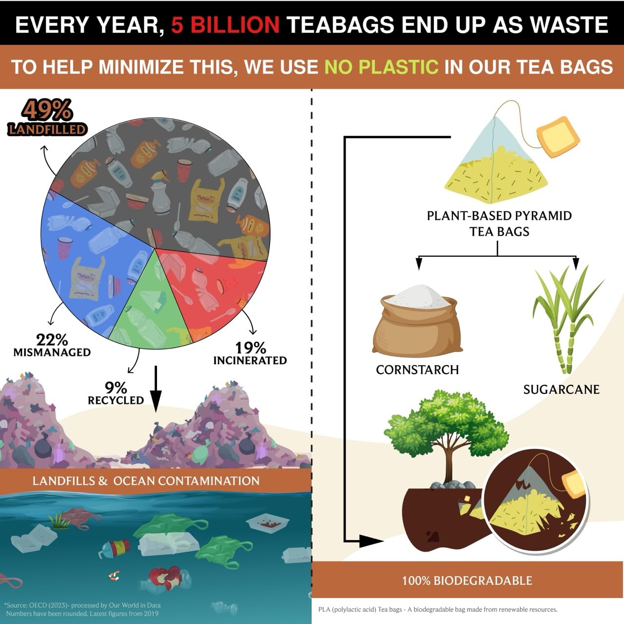 BREWIX, Masala Chai Tea Bags (22 Pyramid Tea Bags) Strong, Robust & Spicy - Pure Ingredients | Black Tea, Cinnamon, Ginger, Black Pepper, Cardamom & Cloves, Packed in Resealable Ziplock Pouch