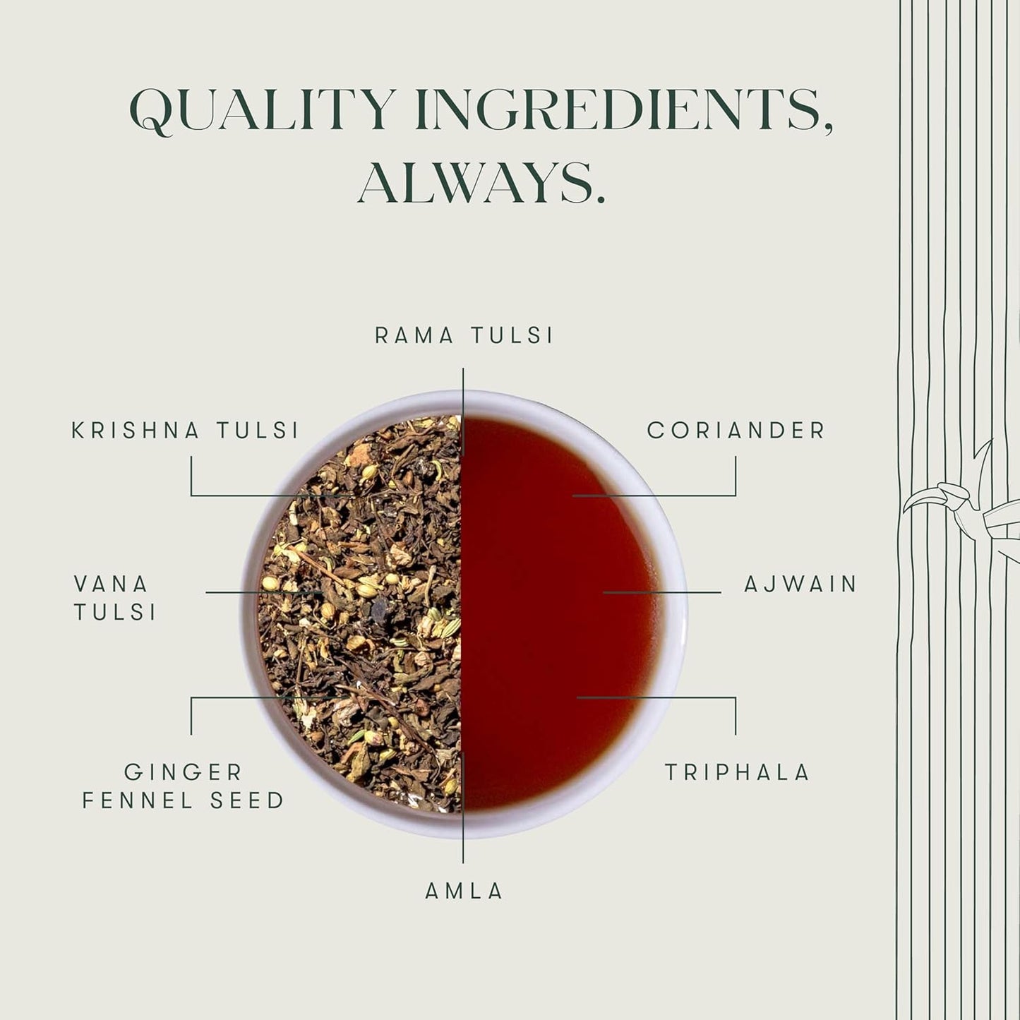 Luxmi Estates - Holy Basil - Organic Tulsi Tea - Loose Leaf - 50g (25 Cups) | With Tulsi and Ginger | Provides Immune Support, Stress Relief and Uplifts Mood