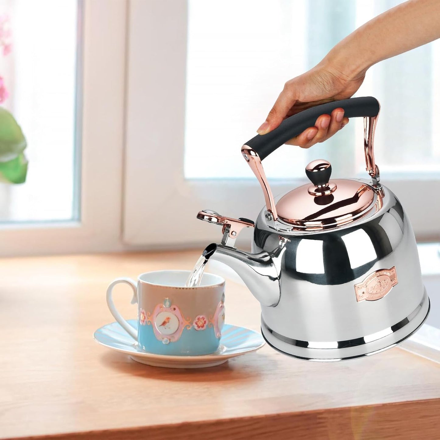 Tea Kettle Stainless Steel Teapot, Stainless Steel Teakettle for Stove Top with Heat Proof Ergonomic Handle 3.0 Quart