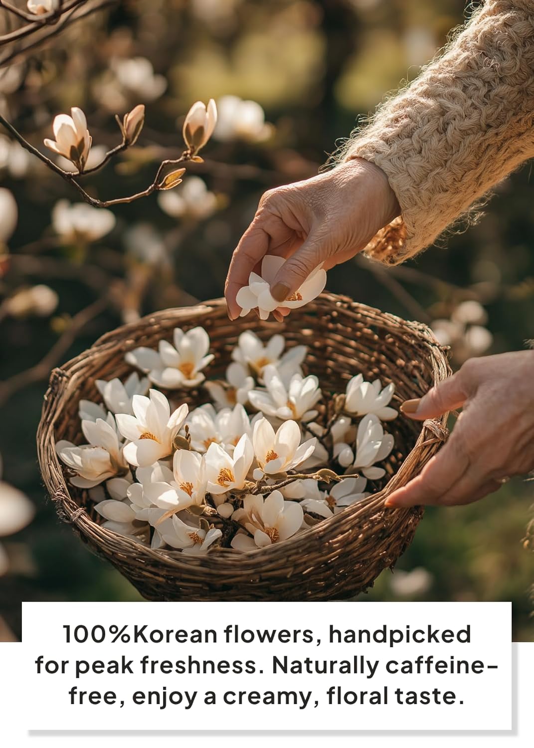 Korean Food, KKOKDAM Original Magnolia Flower Tea, Decaf Floral Blend, Fully Natural Flowers, No Caffeine, Sugar Free, Zero Calories, Made in Korea,10g