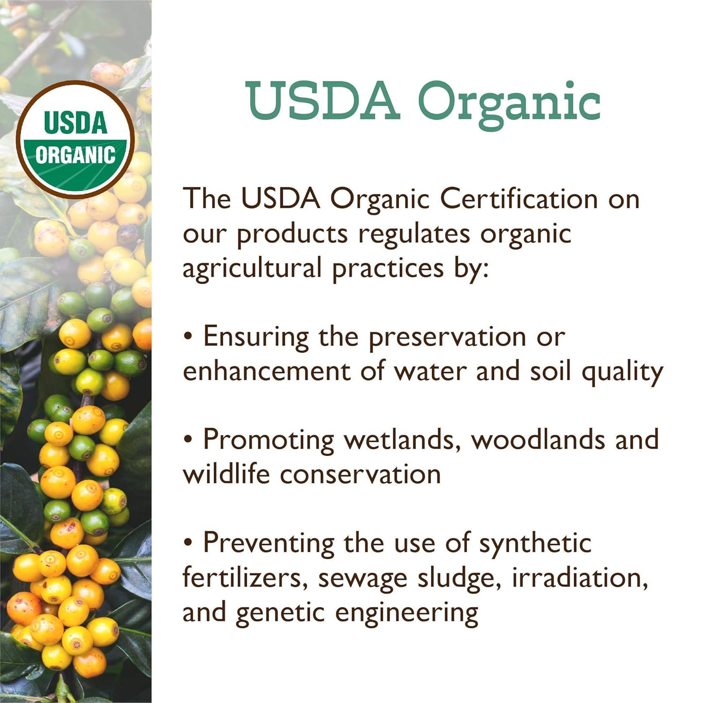 Fresh Roasted Coffee, Organic Colombian | USDA Organic, 100% Single Origin, Kosher | Medium Roast 2 lb (32 oz) Ground