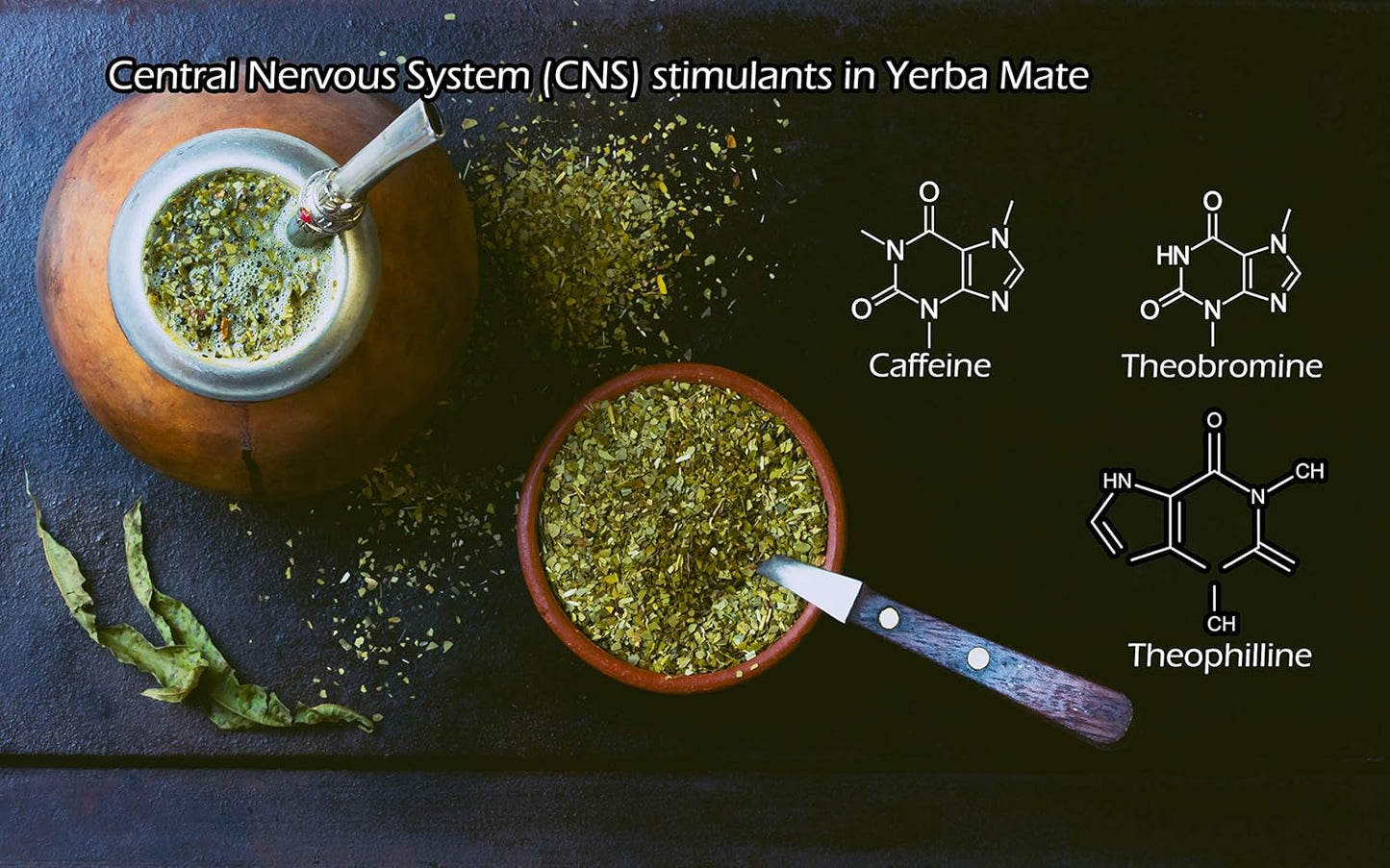Yerba Mate Tea 1LB (16Oz) HI-CAFFEINE 100% CERTIFIED Organic SUPER-GREEN Yerba Mate | NO Dust | FRESH - NEVER Aged (Ilex Paraguariensis) | Brazilian Rain Forest Grown from U.S. Wellness Naturals