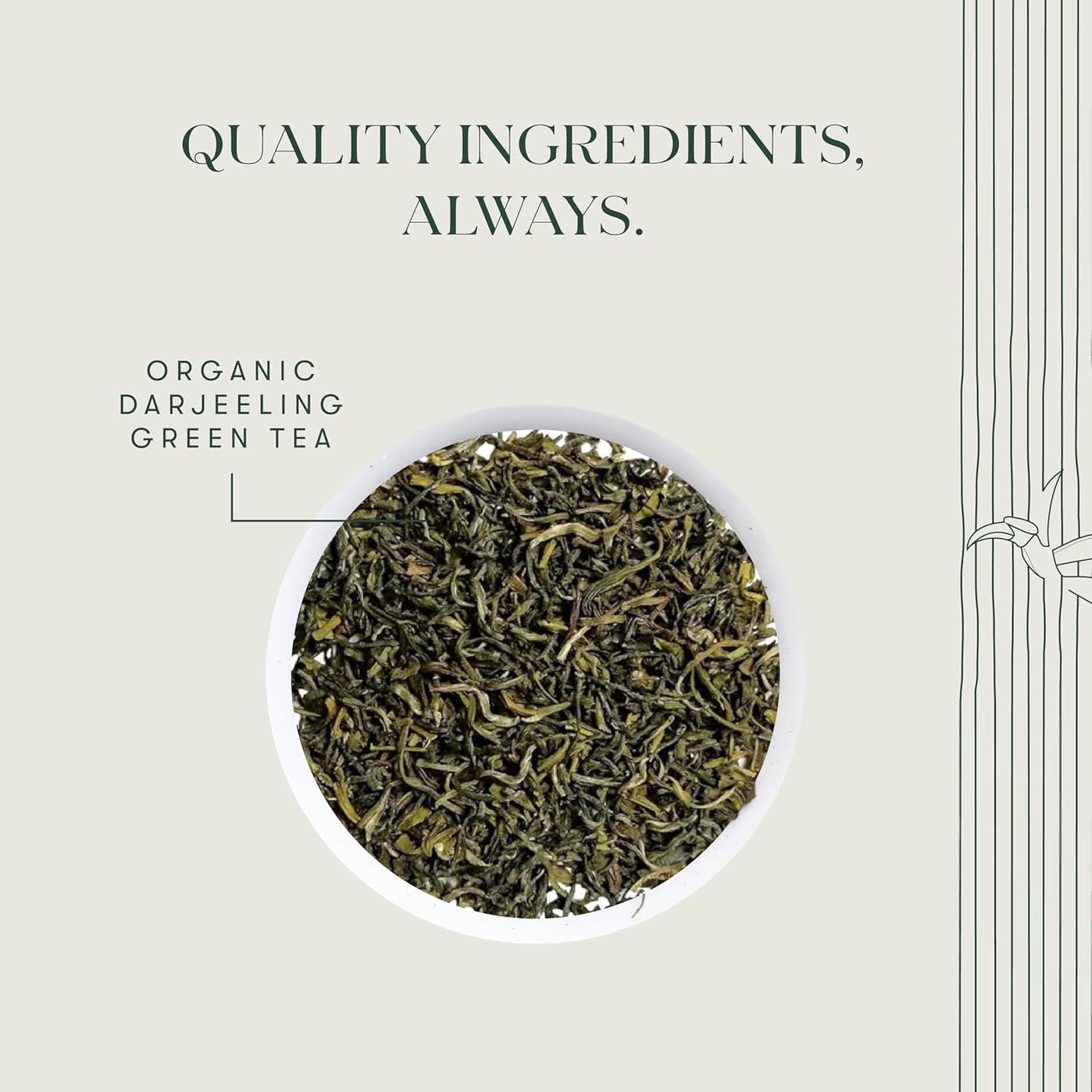 Luxmi Estates - Tokyo Green - Organic Makaibari Darjeeling Green Tea - Loose Leaf - 100g (50 Cups) | From the Foothills of the Himalayas