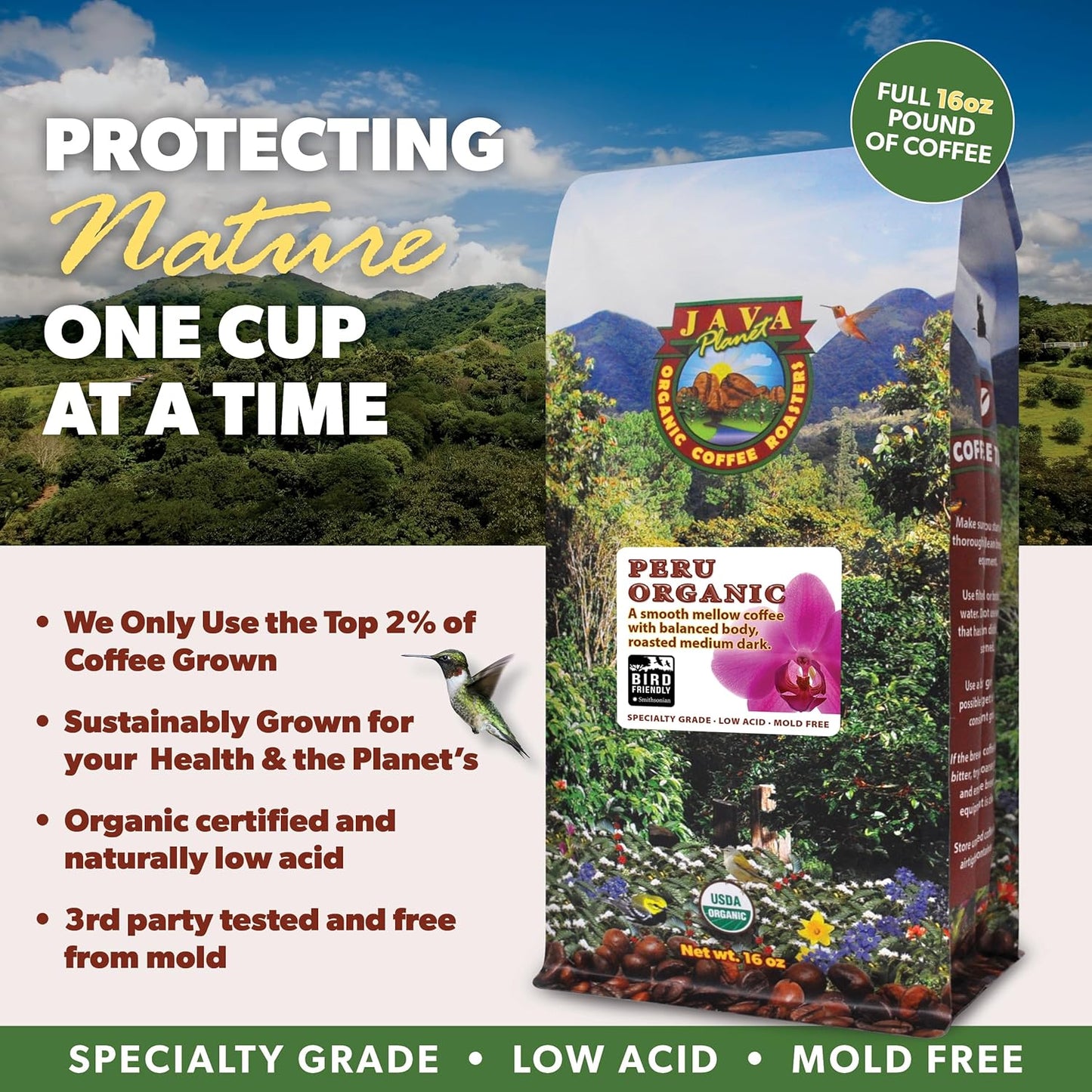 Low Acid Organic Coffee – Whole Bean, Mold-Free & Stomach Friendly by Java Planet, Peruvian Single Origin Coffee, Medium Dark Roast, Smooth Full Flavored, 2x1LB Bag