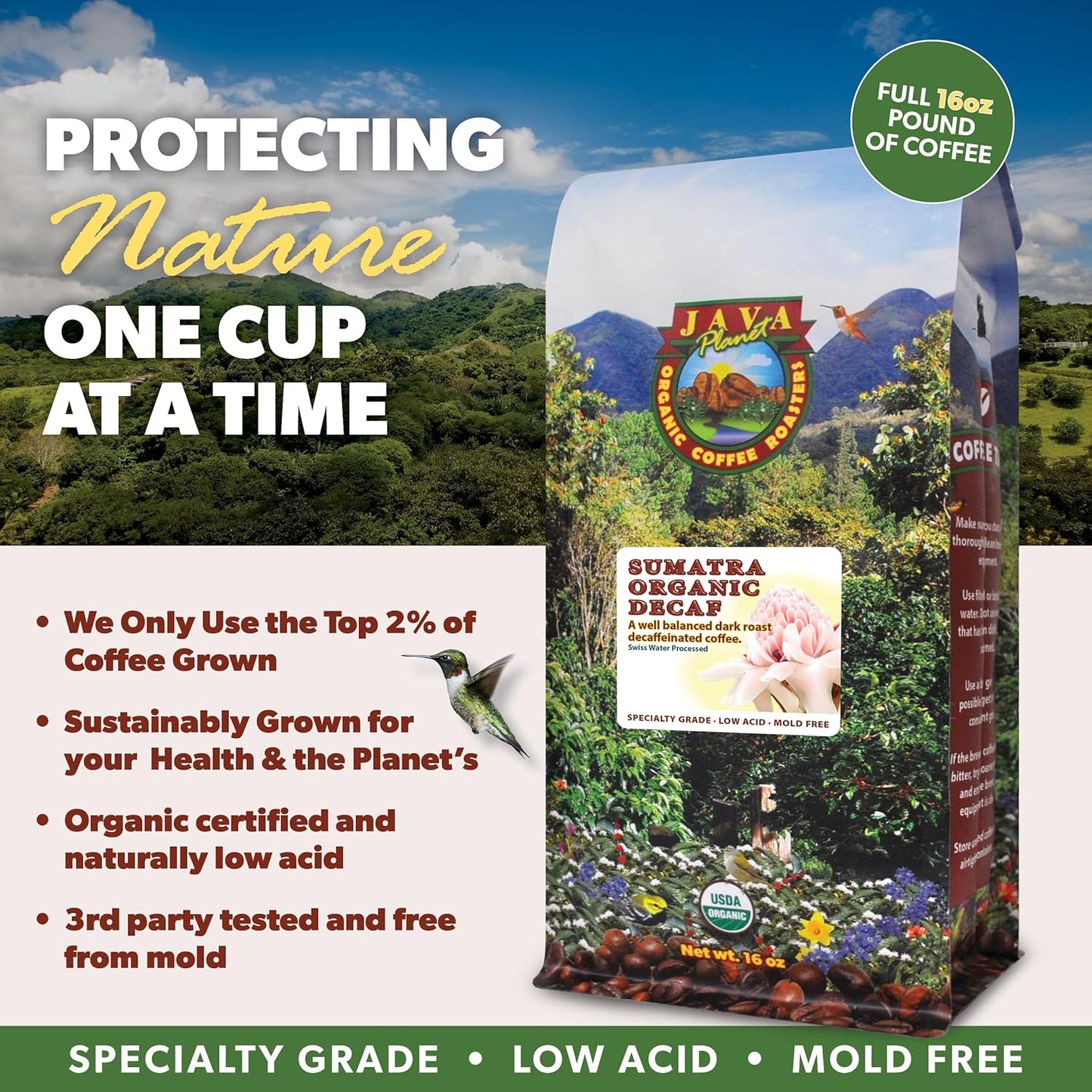 Low Acid Organic Coffee – Whole Bean, Mold-Free & Stomach Friendly by Java Planet, Sumatran Single Origin Decaf Coffee, Dark Roast, Smooth Full Flavored, 1LB Bag