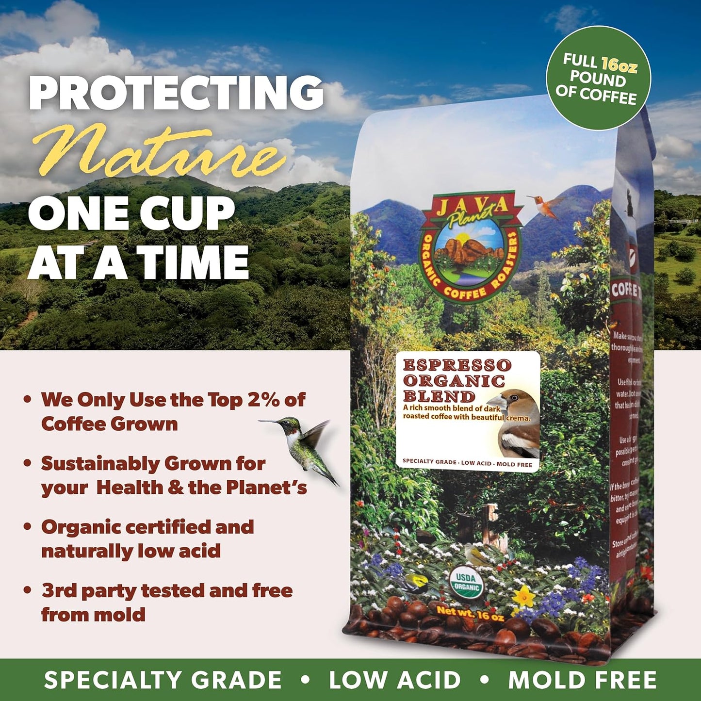 Low Acid Organic Coffee – Whole Bean, Mold-Free & Stomach Friendly by Java Planet, Espresso Blend Coffee, Dark Roast, Smooth Full Flavored, 5LB Bag