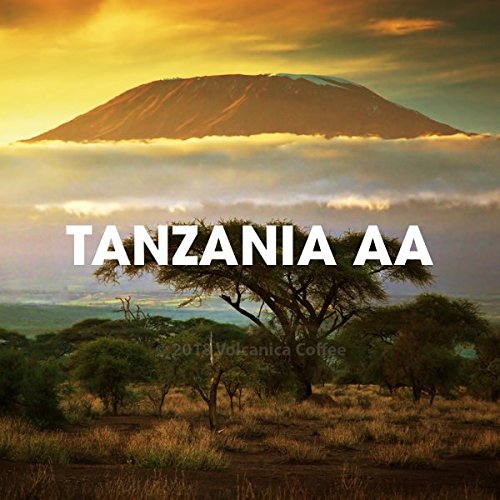 Tanzania AA Coffee, Mount Kilimanjaro, Ground, Fresh Roasted, 16-ounce