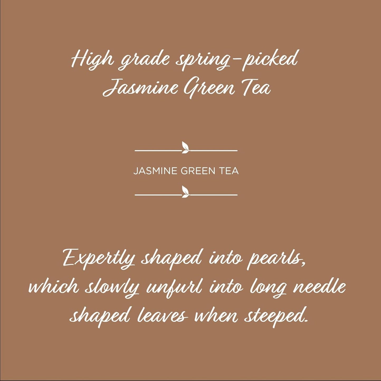 The Tea Spot Jasmine Pearls Green Tea | High-grade Jasmine infused Green Tea Pearls from Fujian | 15 Tea Bags