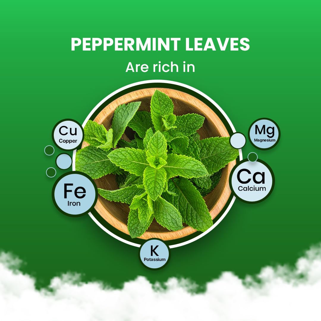 BLUE TEA - Peppermint Tea - 100 Count - Plant Based Tea Bag | SUPPORTS DIGESTION | Antioxidant Rich | Fresh & Cool Minty Flavour | Caffeine Free - Herbal Tea - Non-Bitter - Leaf Based | Ziplock Pack