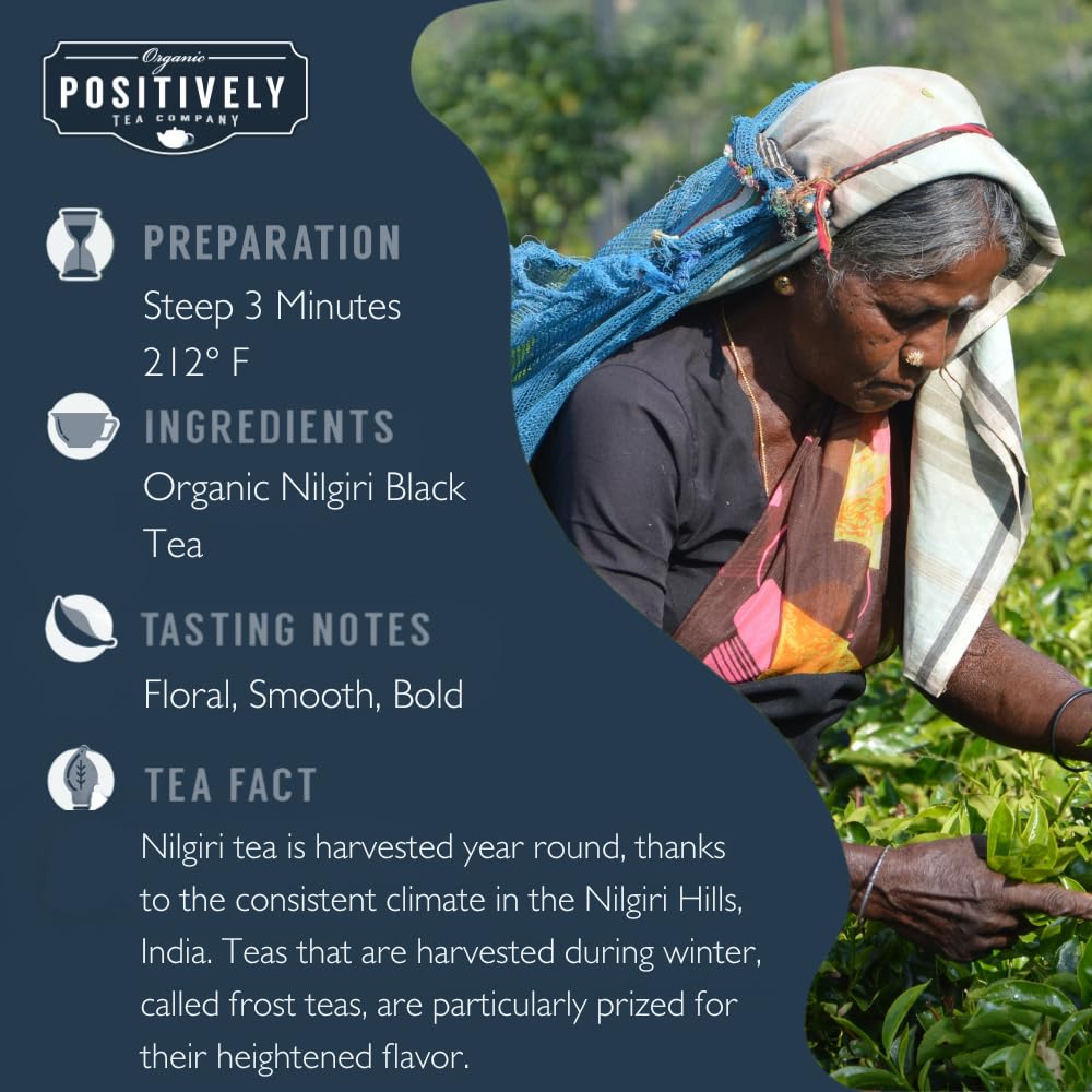 Organic Positively Tea Company, Indian Tea Sampler, Loose Leaf, 4 Ounce, 3 Pack