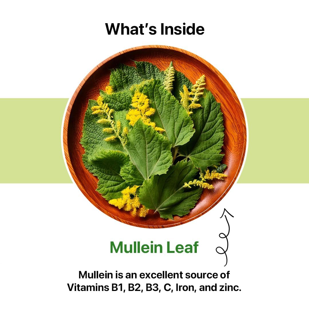 BLUE TEA - Mullein Tea - 30 Count - Pyramid Plant Based Tea Bag | LUNGS DETOX - FOR RESPIRATORY SUPPORT | Herbal Tea - Caffeine Free - Leaf Based - Non-Bitter - Vegan | Ziplock Pack