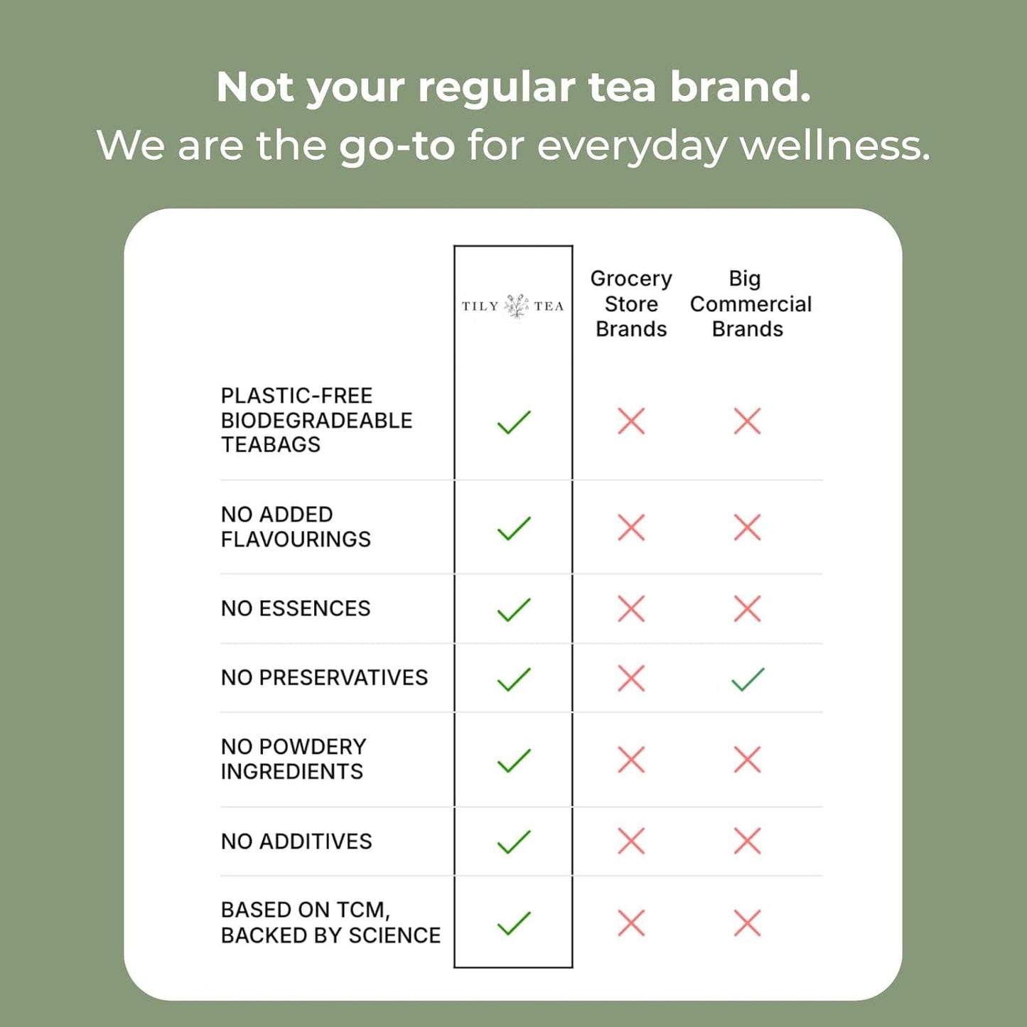 Tily Through The Day Wellness Tea - Antioxidant-Rich Herbal Tea - Caffeine Free - 10 Plastic-Free Teabags