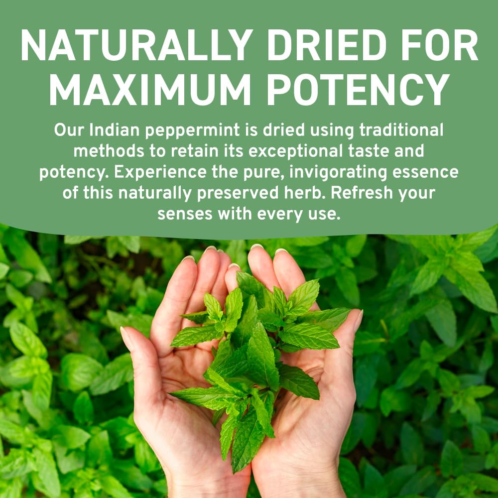 HANDPICK, Peppermint Tea, Eco-Conscious Tea Bags - 100 Count | Caffeine Free, Non-GMO | Minty, Fresh & Cool flavor | Direct From Source