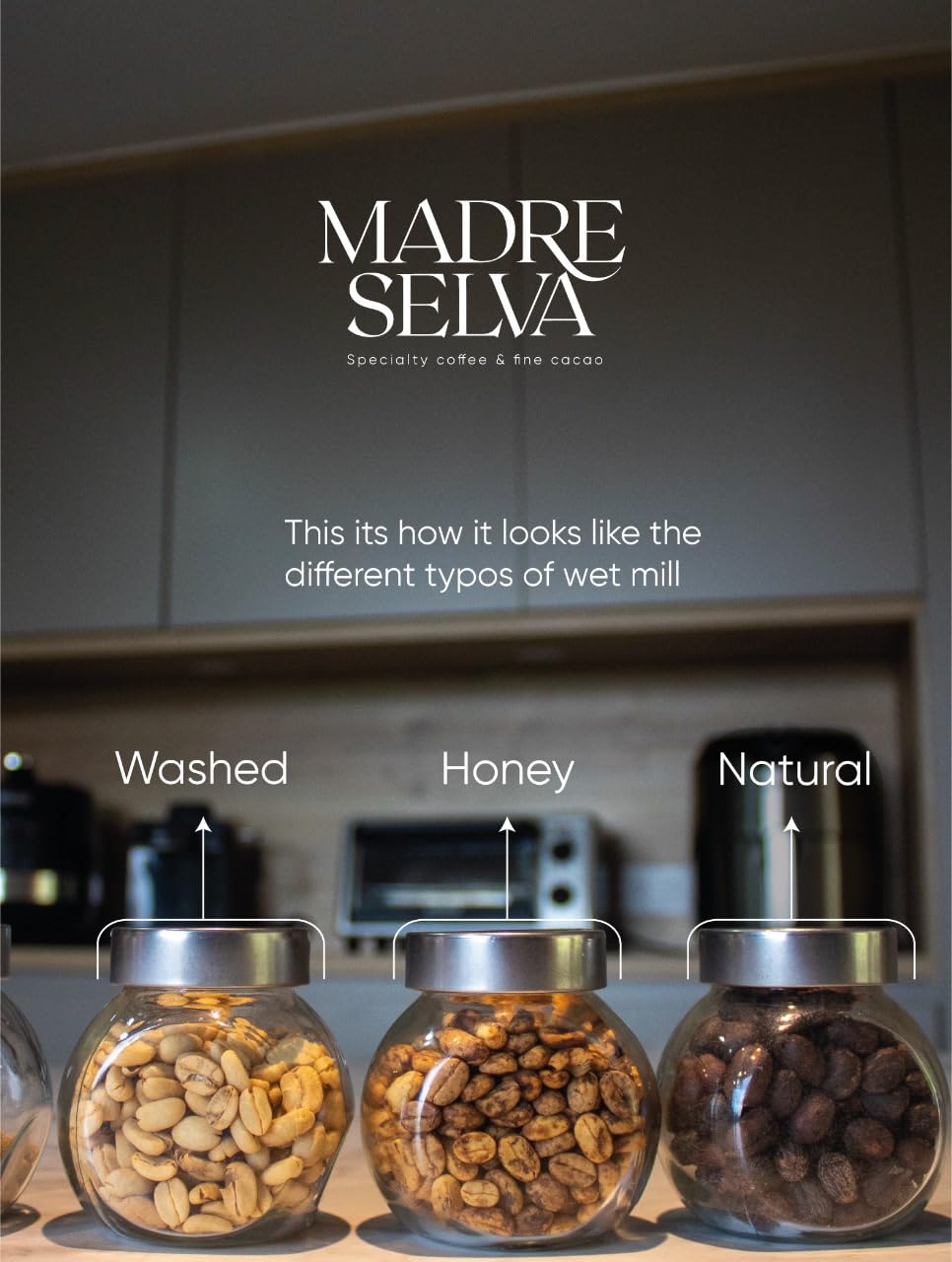 Colombian Specialty Coffee Whole Bean Medium Roast Arabica Bourbon Variety Gourmet Fresh Roasted Low Acid Balanced Flavor Rich Aroma Smooth Notes Single Origin High Altitude Gift Ready 8.8oz 250g