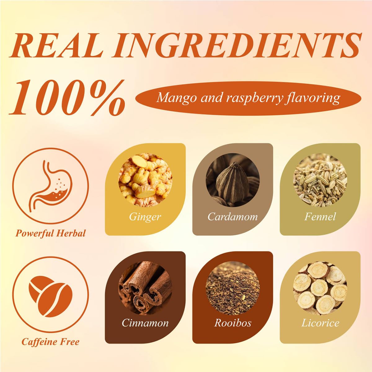 WT WEETEE Mango Ginger Tea Bags, 2g x 100 Counts, Flavored Ginger Herbal Tea Includes Cardamom, Fennel, Cinnamon, Rooibos, Licorice & More, Natural Caffeine-free