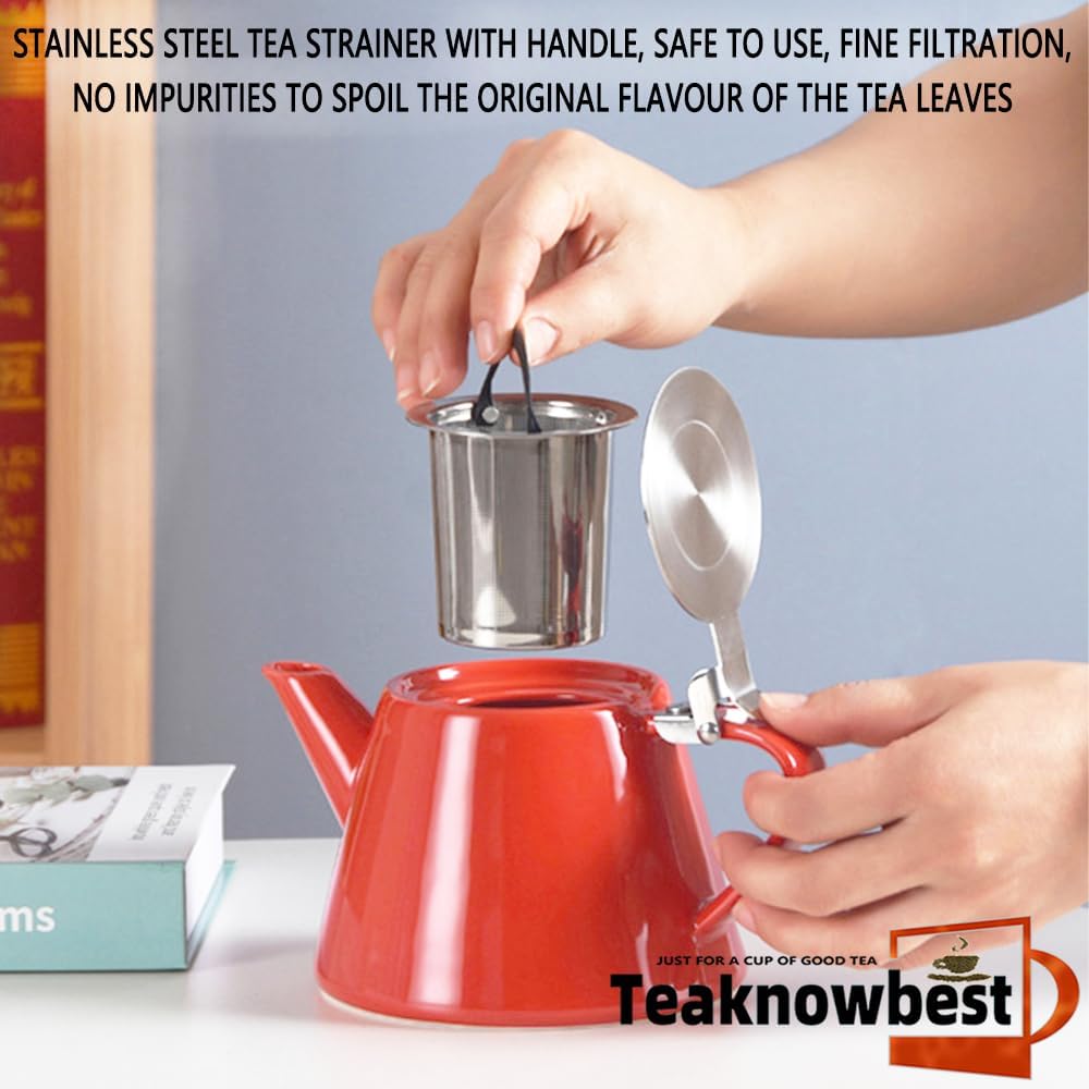 Ceramic teapot, 19oz Tea pot for loose leaf tea, Tea infuser pot with Removable 18/8 Stainless Steel Infuser and teaspoon, Suitable for 1-2 people to brew tea or coffee (pink)