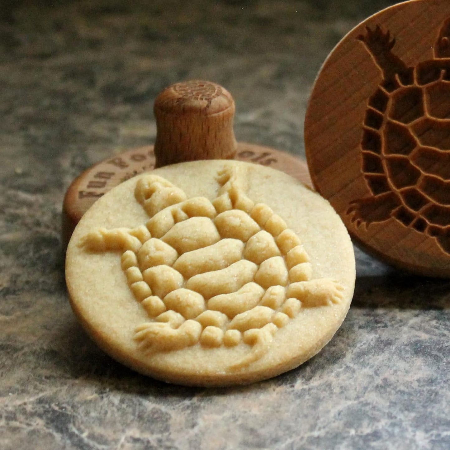 Wood Cookie Stamp, 2.5 Inch (Turtle CS-006)