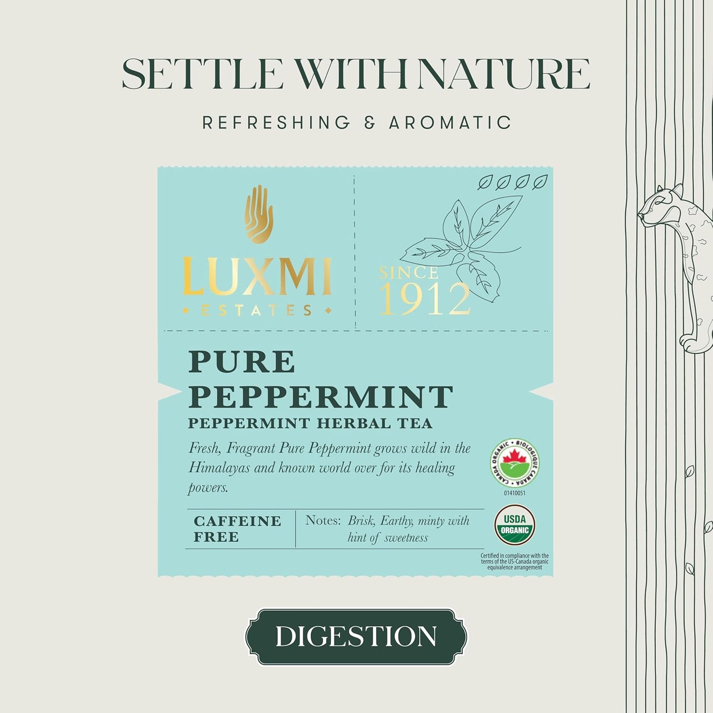 Luxmi Estates Purely Peppermint 25gm Tin | USDA Certified Organic Herbal Tea | Mint Tea Best for Night Time