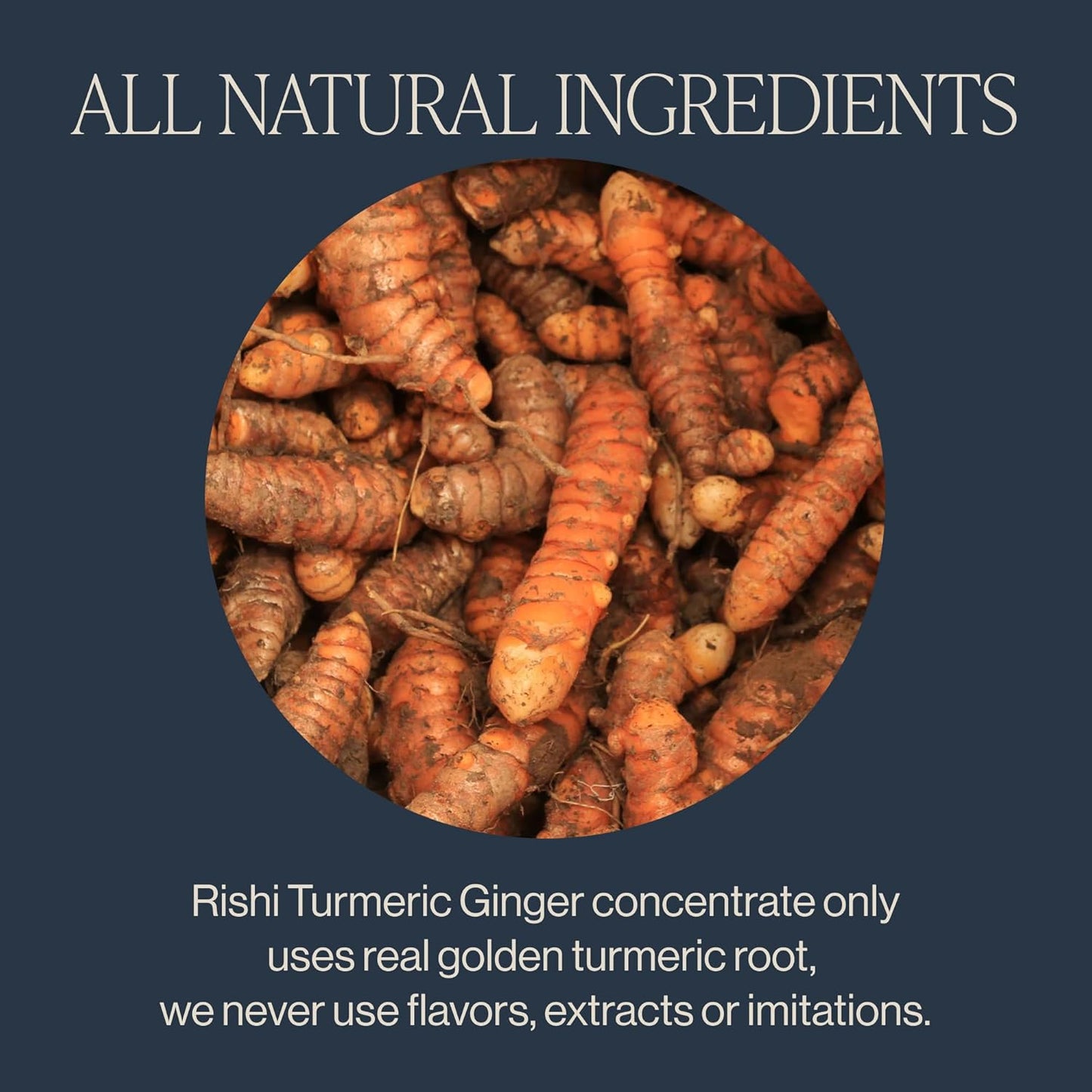 Rishi Tea Turmeric Ginger Chai Latte - Organic Herbal Tea Concentrate with Ginger - Easy-to-Serve Hot or Iced, Caffeine Free - 32 Fl Oz (Pack of 12)