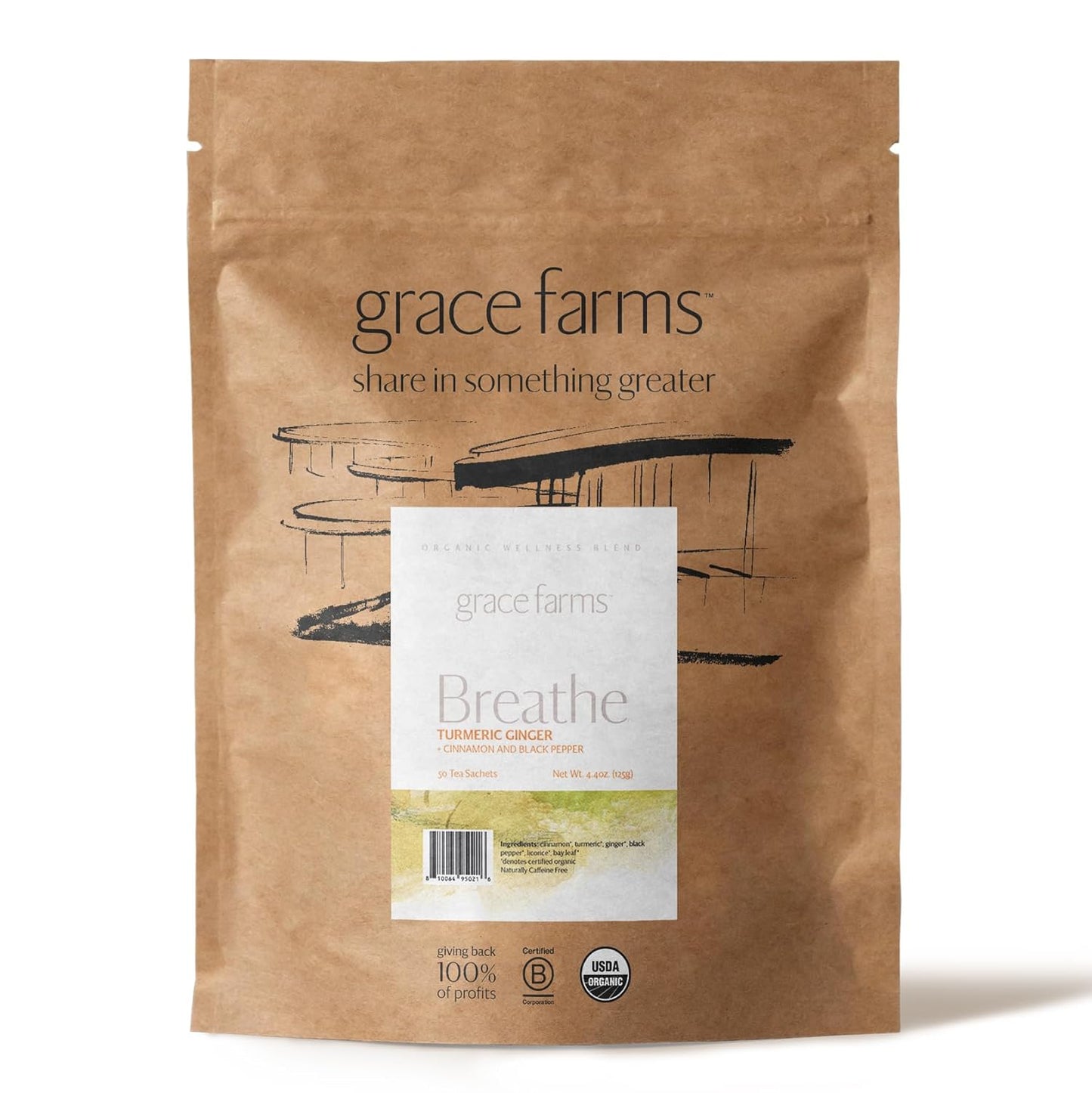 Grace Farms BREATHE Wellness Organic Tea Blend (50 Sachet Pouch) | Turmeric and Ginger with Adaptogenic Herbs | Immunity and Digestion Support | Caffeine Free | Gives Back 100% of Profits