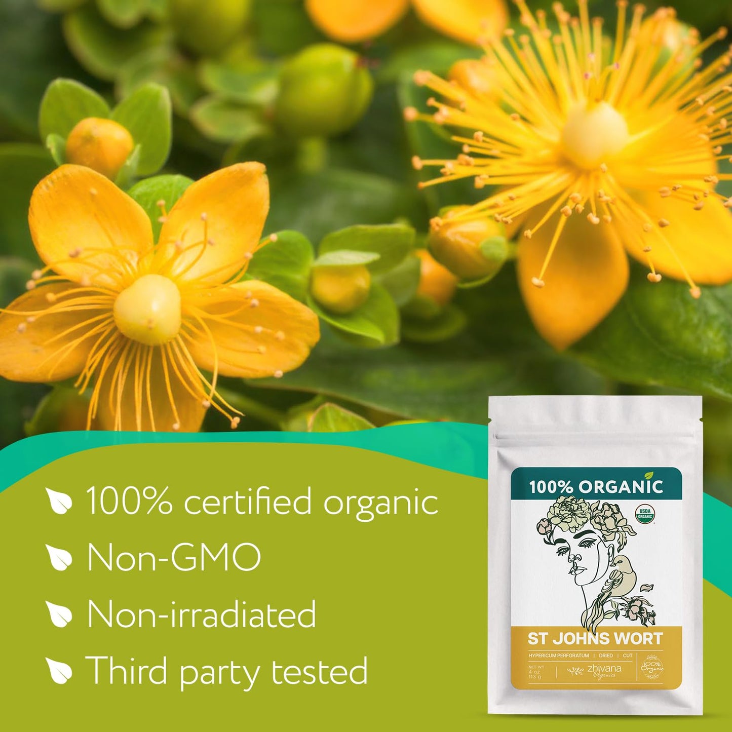 Organic St Johns Wort Tea (4 oz.) – 100% Pure Dried Saint John’s Wort Herb – Te de Hierba de San Juan Organica