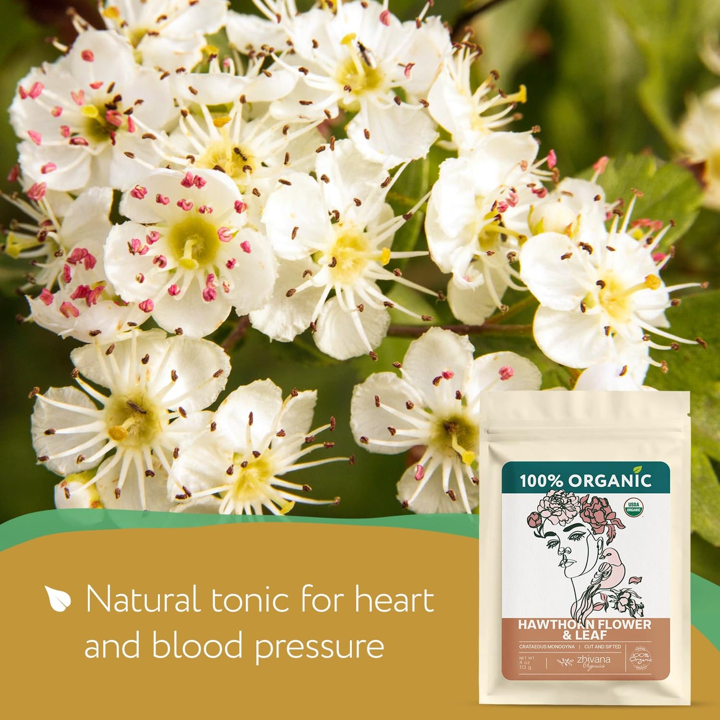 Hawthorn Leaf & Flower Tea Organic (4oz.) - Loose Hawthorne Tea for Blood Pressure Balance, Cardiovascular Health, Heart Support - Espino Blanco Hoja