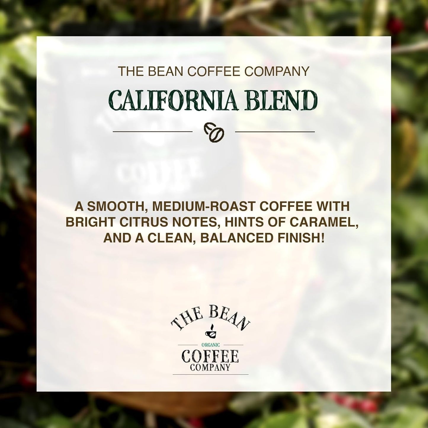 The Bean Organic Coffee Company California Blend, Medium Roast, Ground Coffee, 16-Ounce Bag,Café molido tostado organico