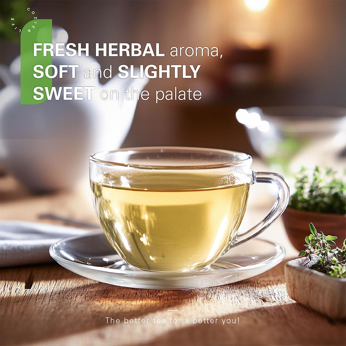 WT WEETEE Soursop Leaves Tea Bags, Made with 100% Pure Soursop Graviola/Guanabana Leaves, Natural Caffeine-free Herbal Tea, 50 Corn Fiber Tea Bags