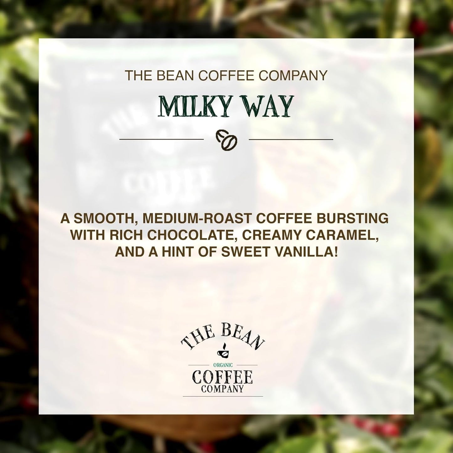 The Bean Organic Coffee Company Milky Way, Medium Roast, Ground Coffee, 5-Pound Bag, Café molido tostado orgánico
