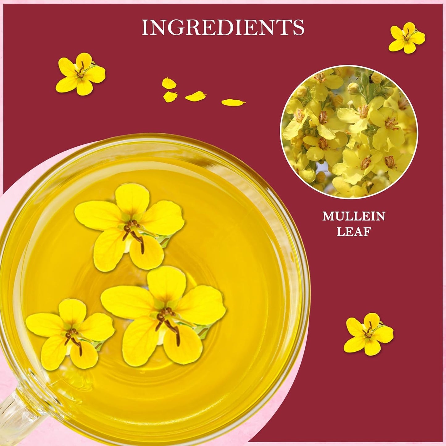 Tealeaf & Co. Mullein Leaf Tea Blended with Fresh Herbs - Pure Herbal Tea Bags with Mullein Leaf Extract - Flavored Herbal Blend - Low Caffeine - Gluten Free - 50 Teabags