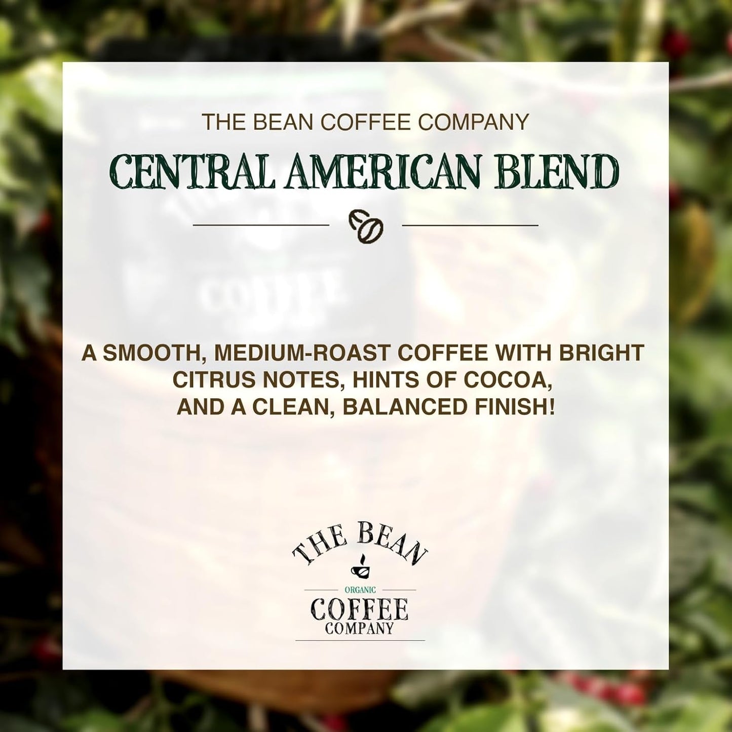 The Bean Organic Coffee Company Central America, Medium Roast, Whole Bean Coffee, 16-Ounce Bag