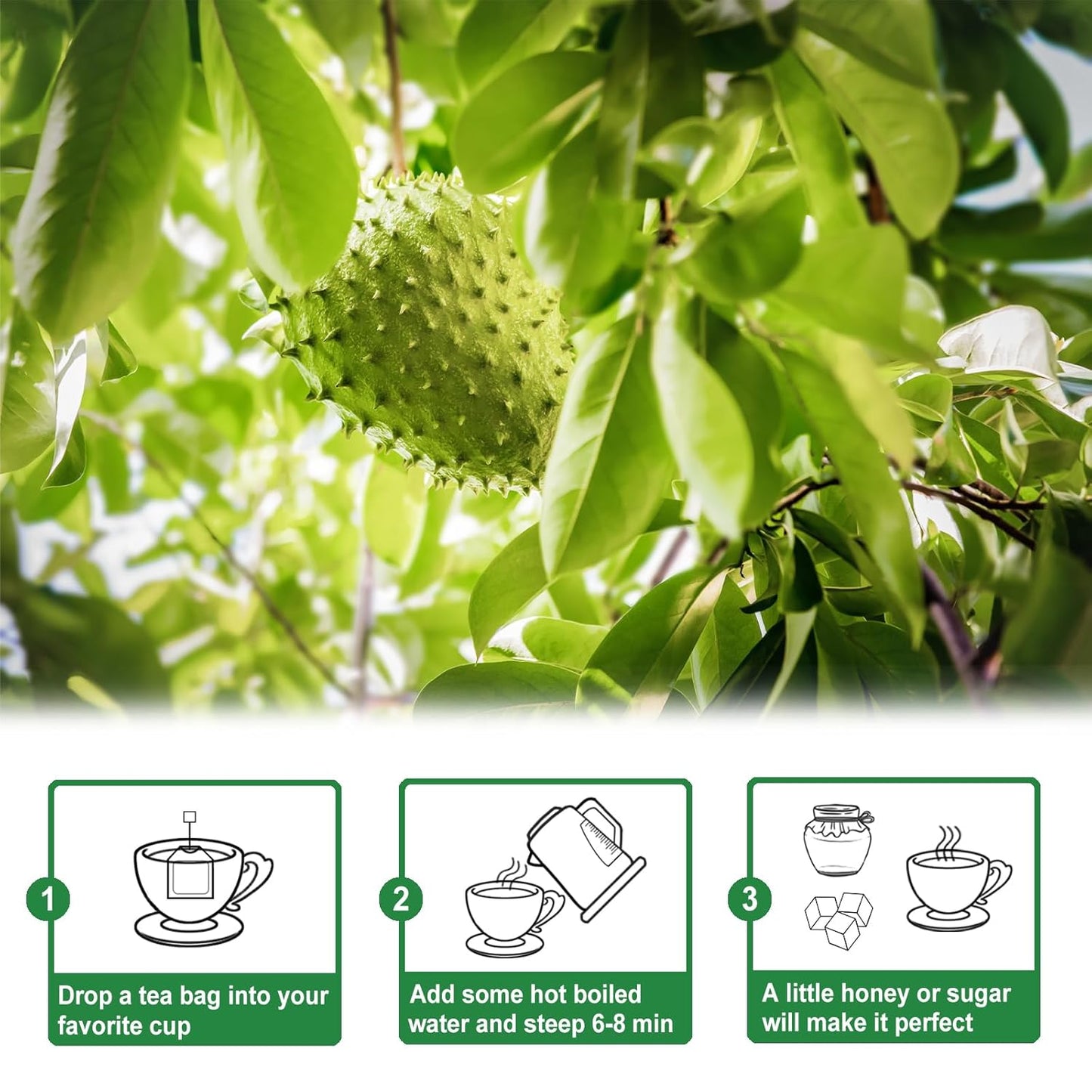 TEARELAE - Soursop Leaves Tea - 1.5g x 50 Count - 100% Pure Soursop Graviola Leaves Tea Bag - Country of Origin Thailand - Support Digestion & Rich In Nutrients