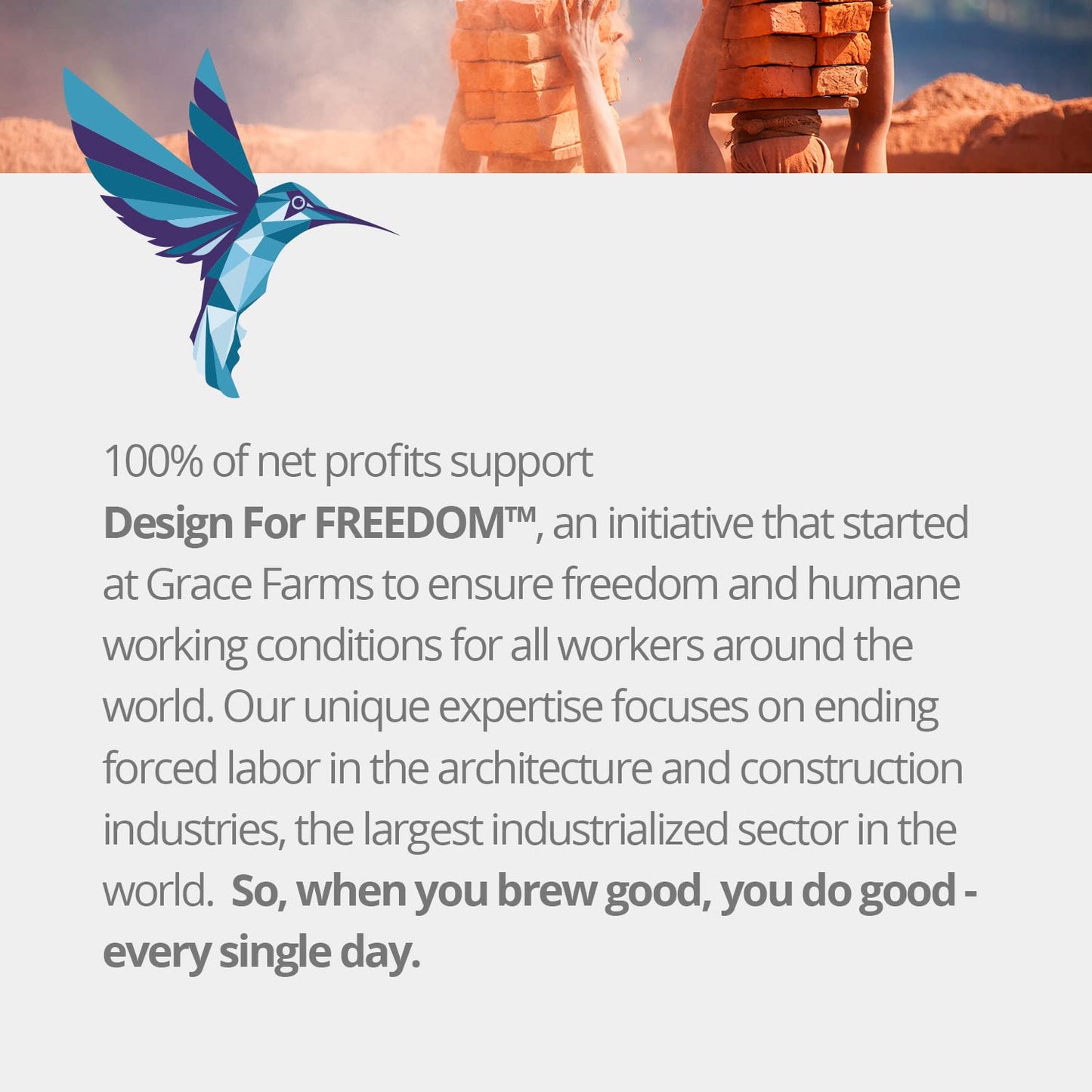 Grace Farms Organic JASMINE Green Tea (100 Enveloped Pyramid Sachets w/String & Tag) | Fragrant and Sweet | Fairtrade and Kosher Certified | Best Green Tea | Gives Back 100% of Profits