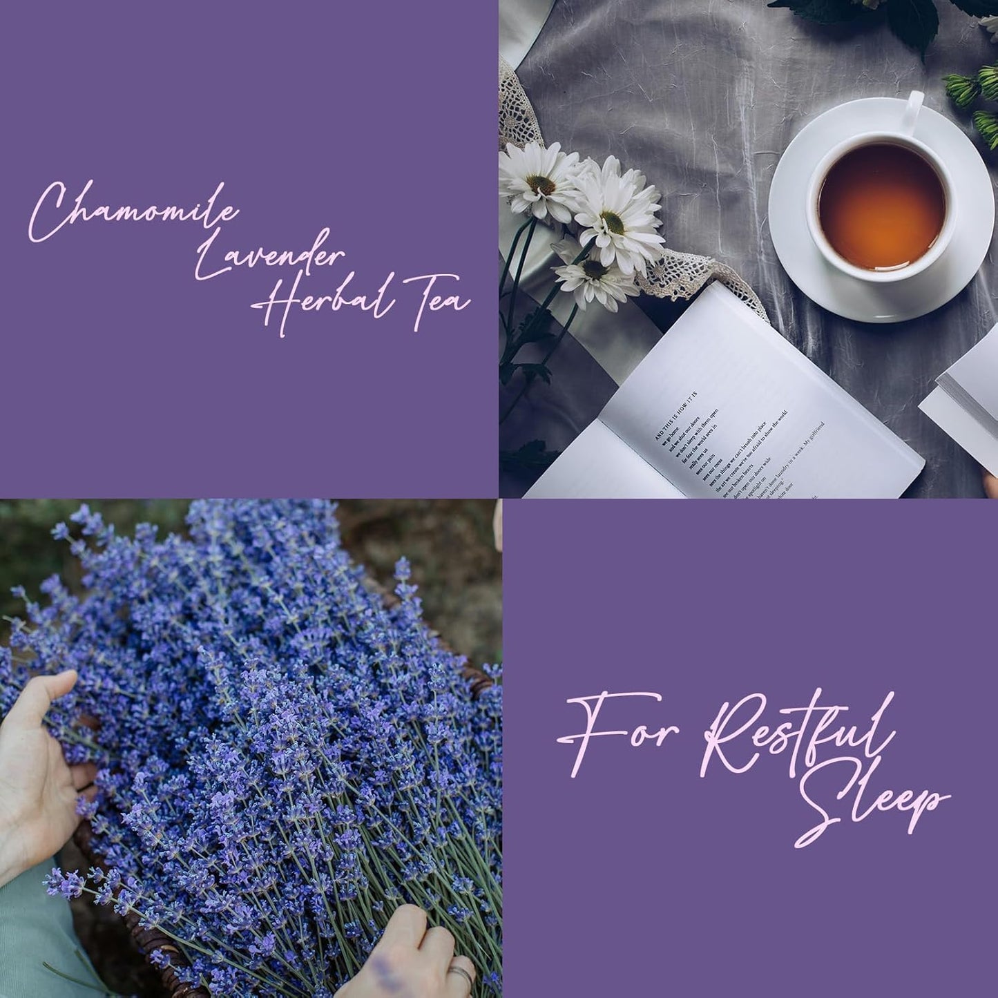 Life Plus Style Gourmet Pagoda Garden Chamomile Lavender Organic Herbal Tea Caffeine Free Hot or Iced Floral Blend Natural Delicious Sleep Tea 60 Tea Bags