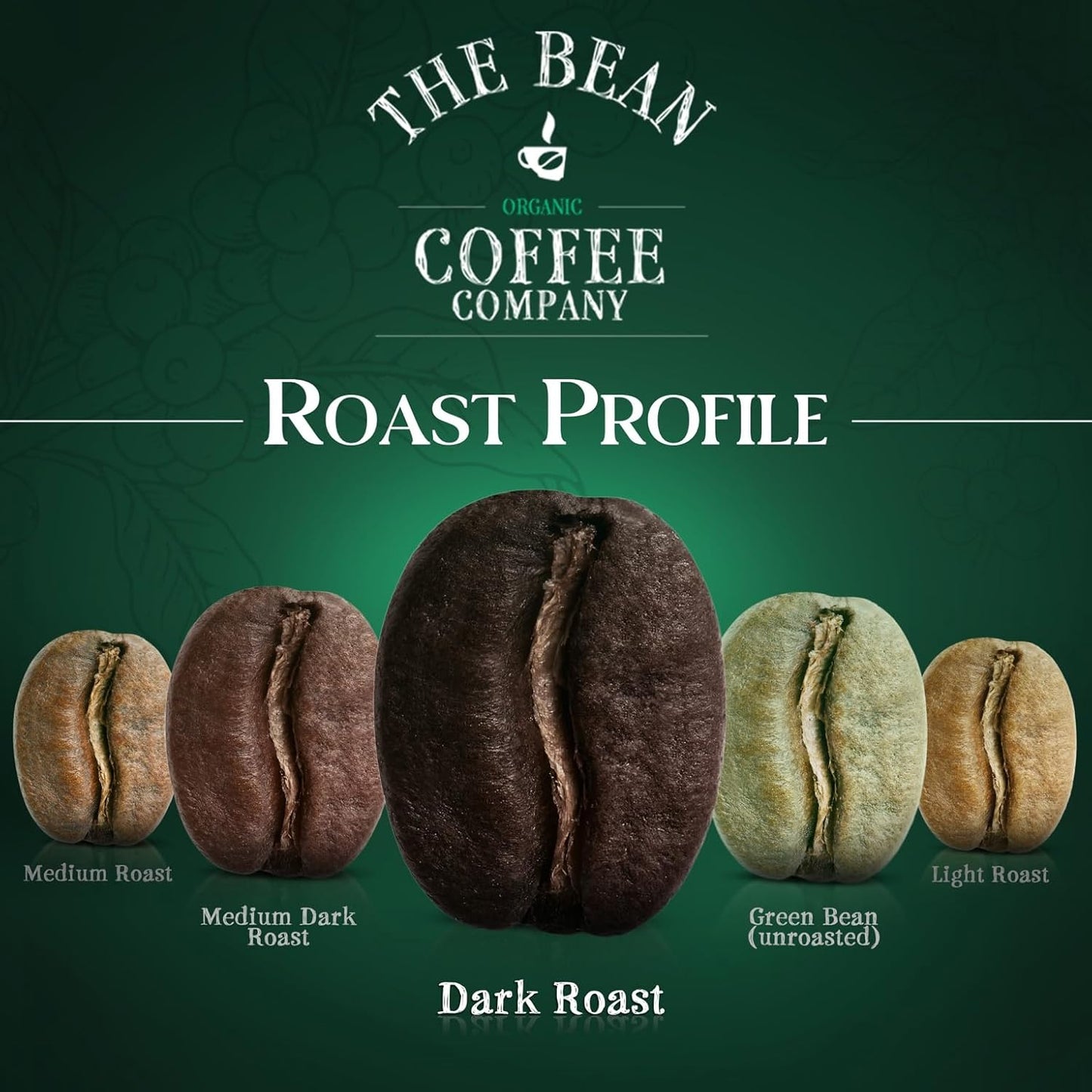 The Bean Organic Coffee Company Il Espresso, Classic Dark Roast, Whole Bean Coffee, 16-Ounce Bags (Pack of 2)