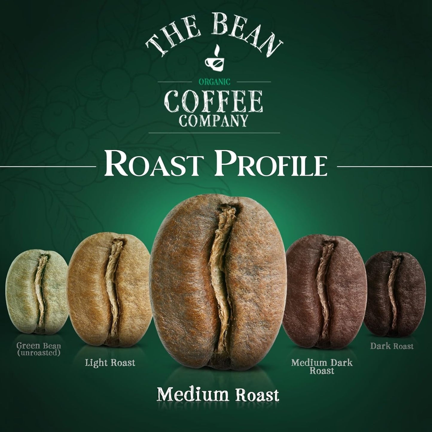 The Bean Organic Coffee Company House Blend, Medium Roast, Whole Bean Coffee, 16-Ounce Bag