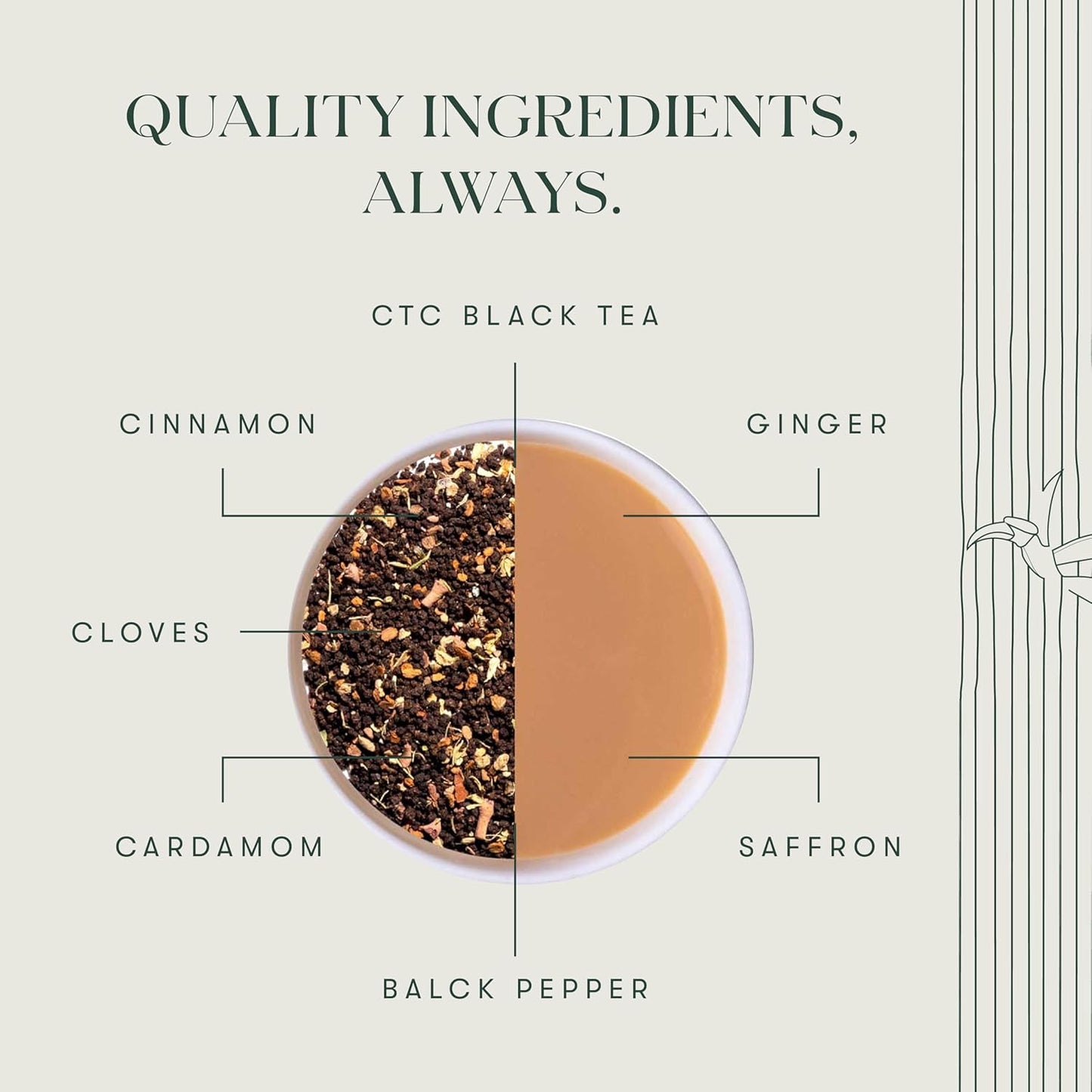 Luxmi Estates Chai Adda-Bari 25 Tea Bags (50g) Pack | Masala Chai | Certified Organic Black Tea