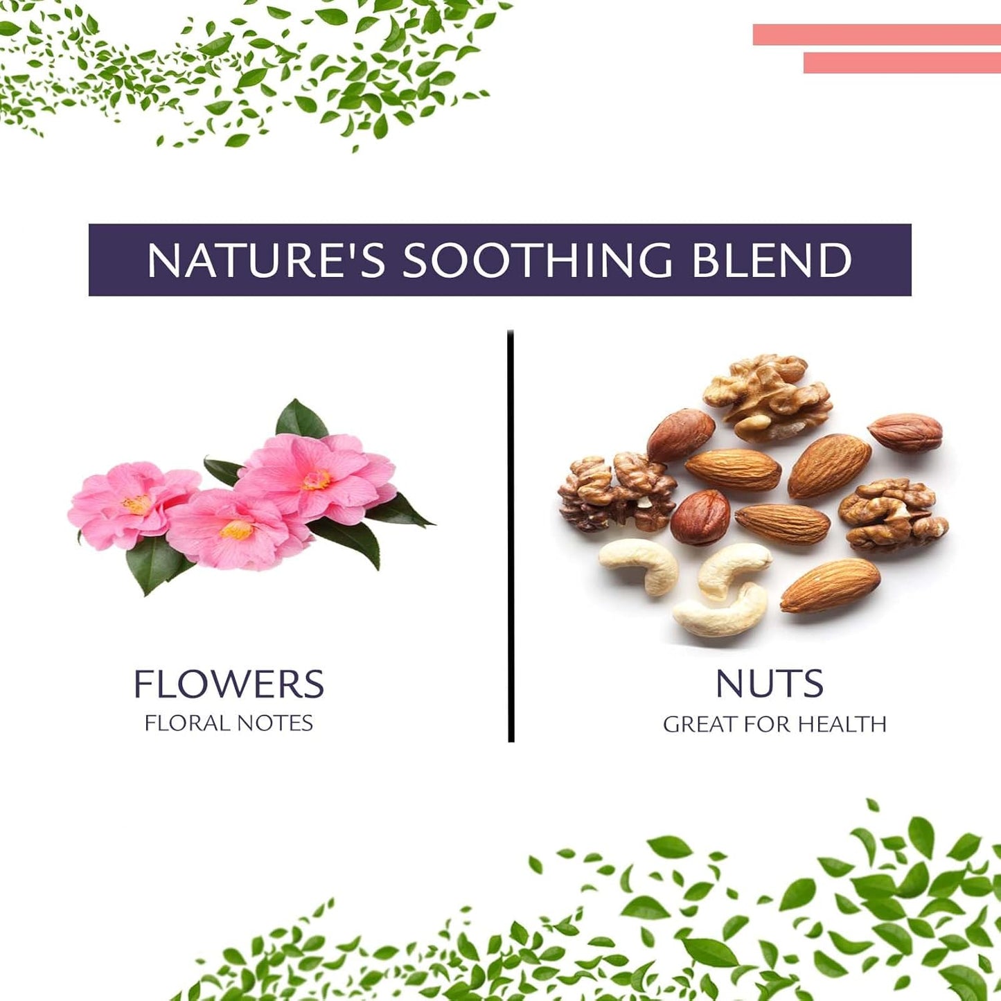 Birdsong Green Iron Goddess: Organic Oolong Tea, light, refreshing, soothing 100% Natural Herbal Tea with Floral and Nutty Taste, Medium Caffeine Alternative to Coffee, Loose Leaf Hot Tea