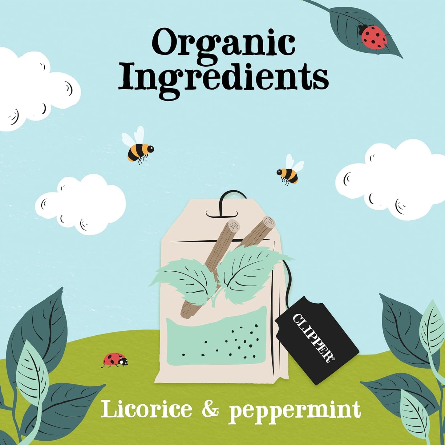 Clipper Tea Peppermint & Licorice Teabags – Caffeine Free, USDA Organic, Great Hot or Iced – Sweet, Refreshing, Natural, Fair & Delicious Sweet – 200 Tea Bags