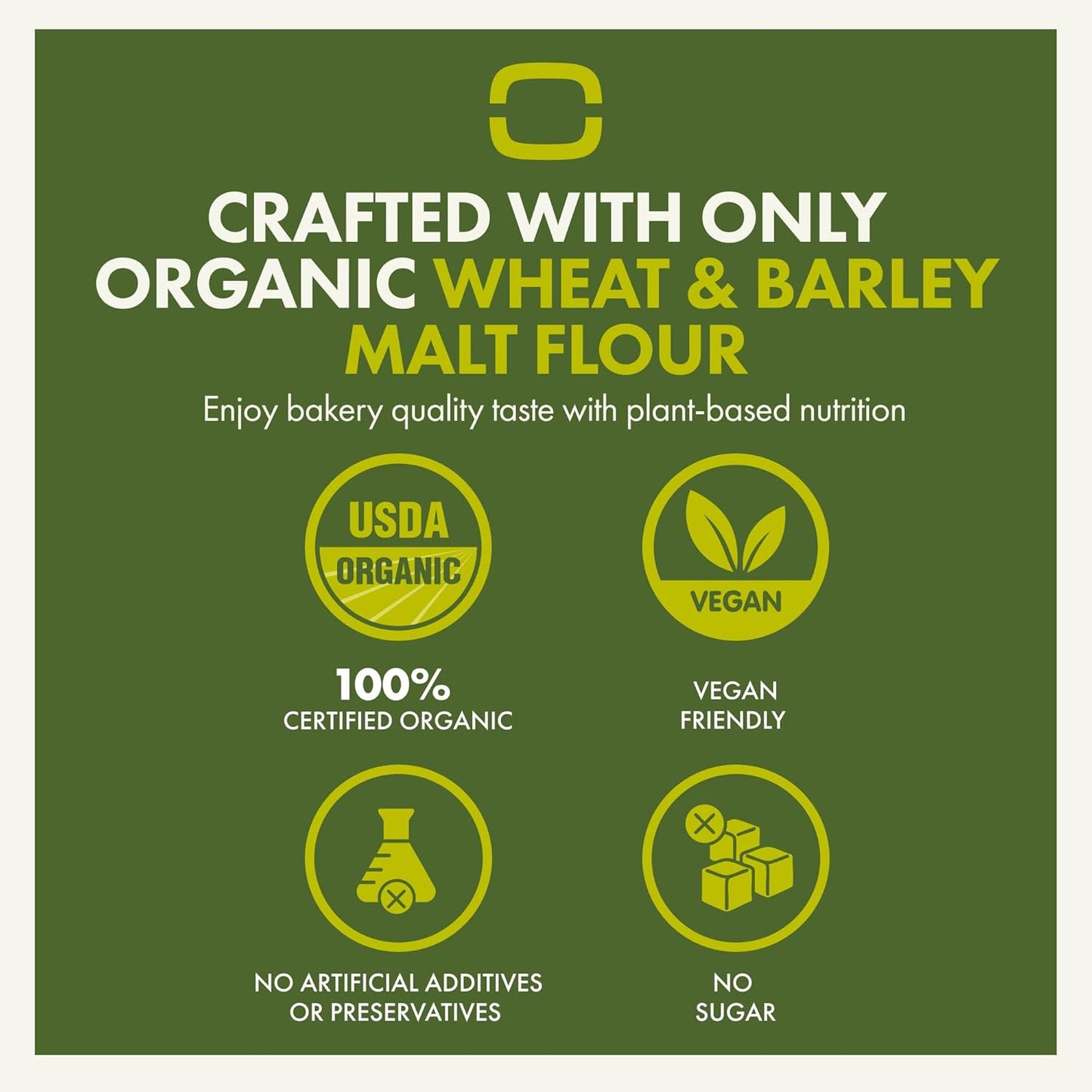 Let’s Bake Bread Organic Baguette Baking Mix - Crusty Artisan French Bread at Home - USDA Organic, Non-GMO, No Additives, Easy Home Baking, Parisian Bakery-Style Loaf - 17.64 oz (1 Pack)