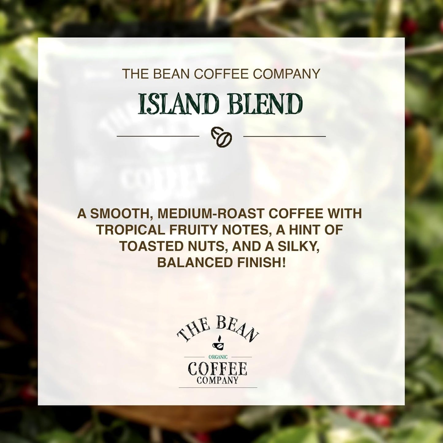 The Bean Organic Coffee Company Island Blend, Medium Roast, Ground Coffee, 16-Ounce Bag,Café molido tostado organico