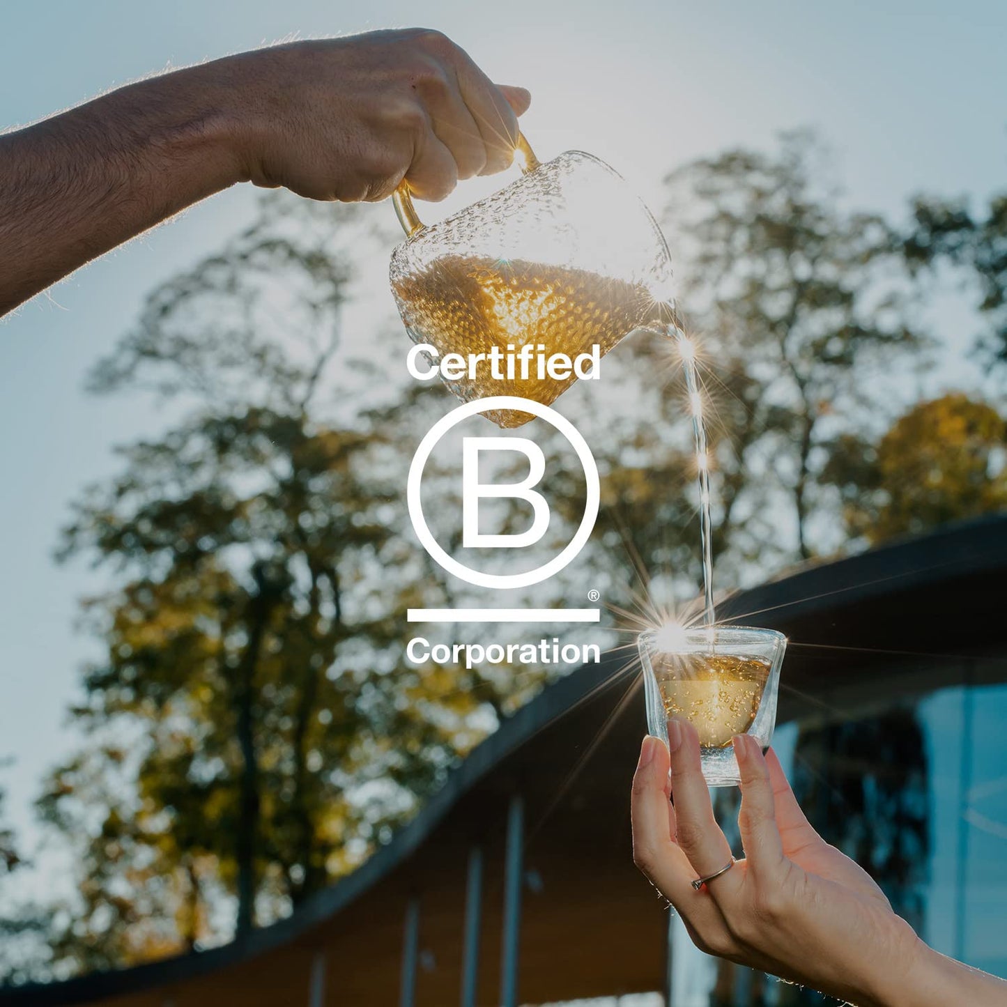 Grace Farms BREATHE Wellness Organic Tea Blend (100 Enveloped Pyramid Sachets w/ String & Tag) | Turmeric and Ginger with Adaptogenic Herbs | Immunity Support | Caffeine Free | Gives Back 100% of Profits