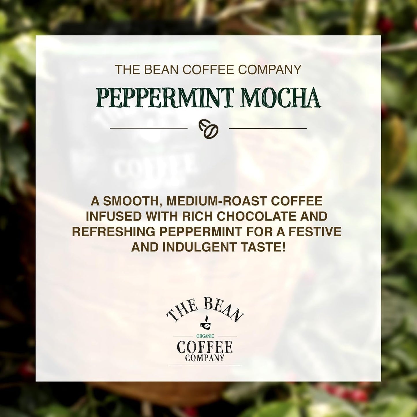 The Bean Organic Coffee Company Peppermint Mocha, Medium Roast, Ground Coffee, 16-Ounce Bags (Pack of 2), Café molido tostado orgánico