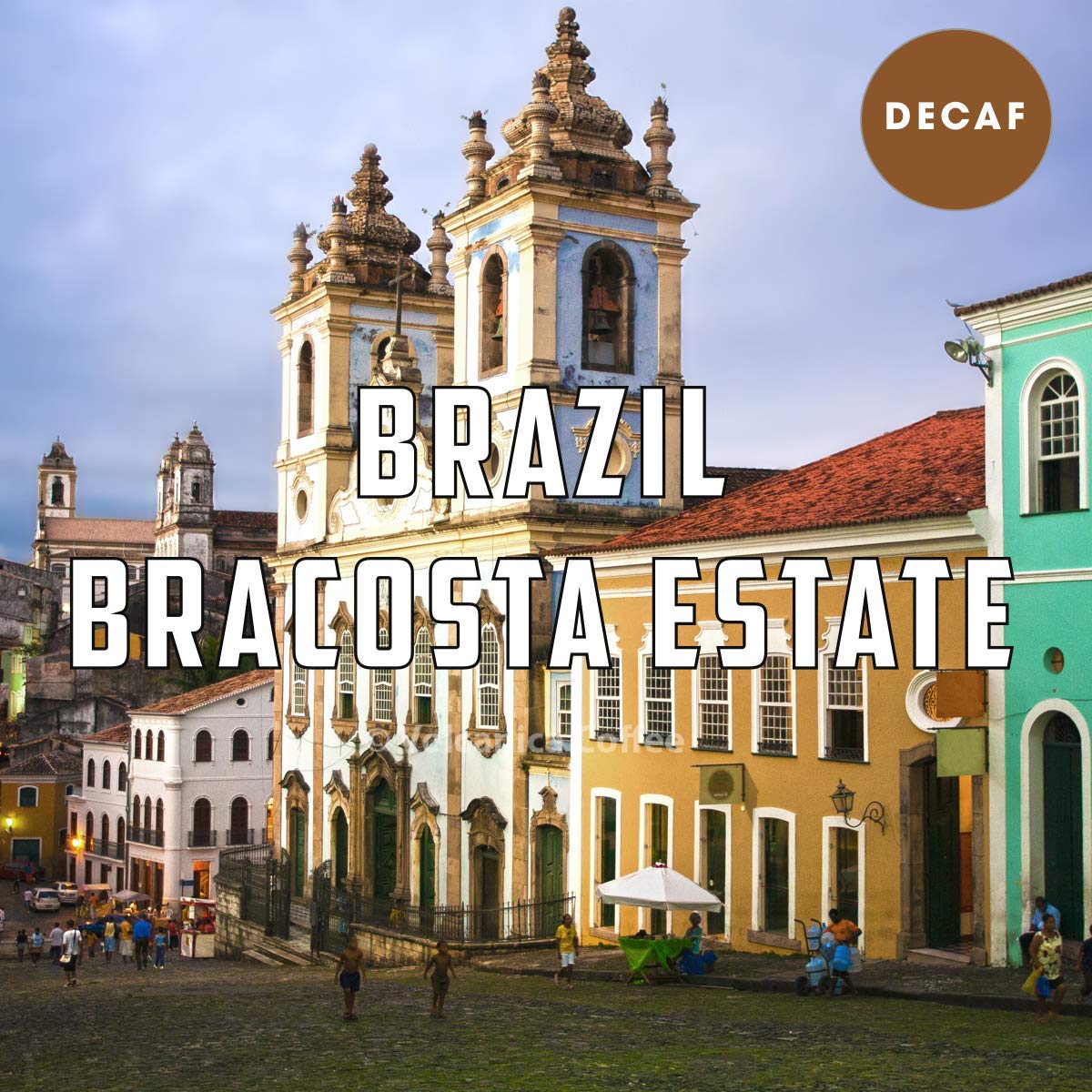 Brazil Decaf Coffee, Bracosta Estate, Whole Bean, Swiss Water Processed, Fresh Roasted, 5 lbs