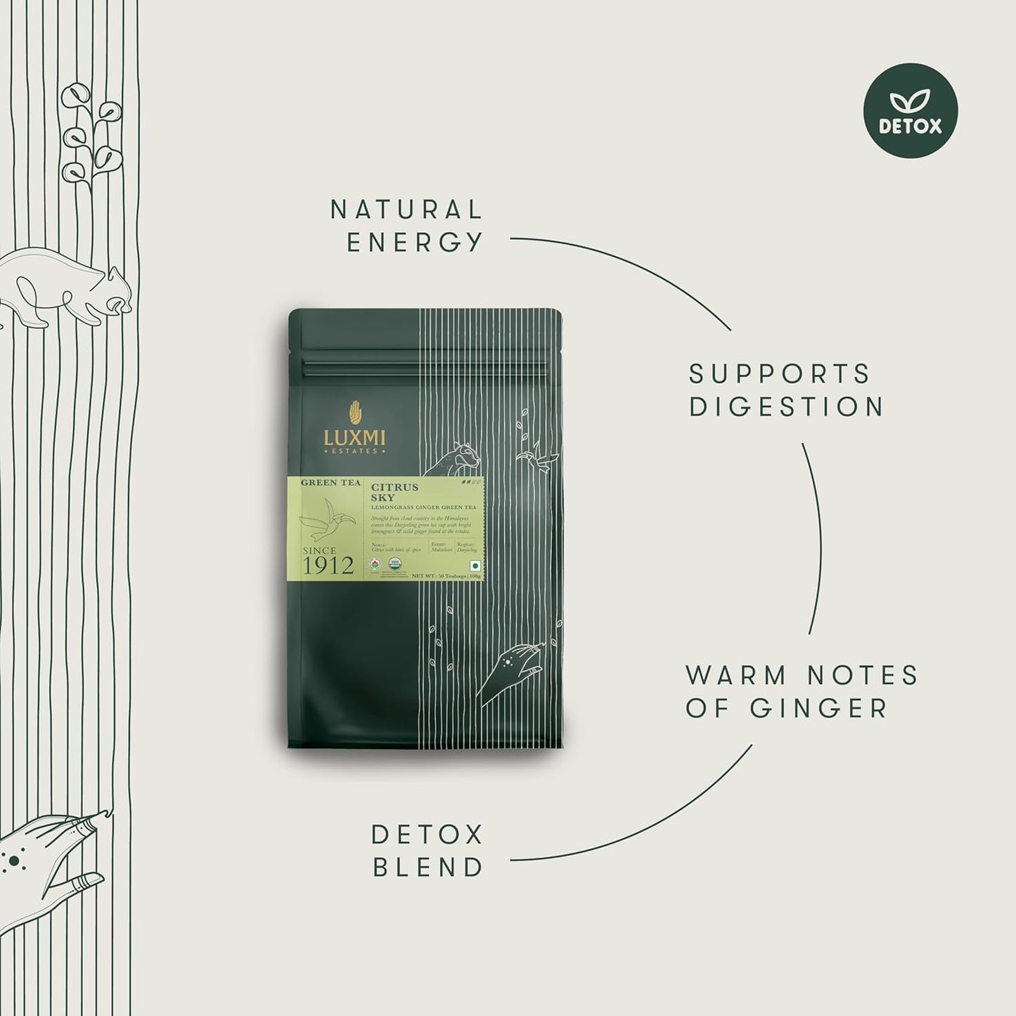 Luxmi Estates Citrus Sky Lemongrass Ginger Green Tea 50 Tea Bags (100g) Pack | Certified Organic Darjeeling Green Tea | Natural Lemon Balm Tea - Calming, Supports Digestion | 50 Cups Bulk Pack