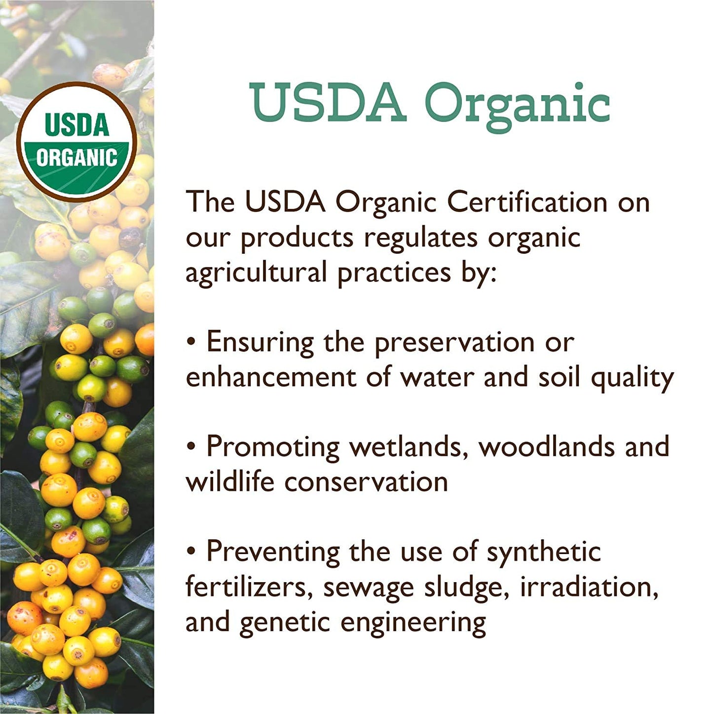 Fresh Roasted Coffee, Organic Montezuma Sunrise | USDA Organic, Kosher | Medium Roast 72 Pods for K Cup Brewers