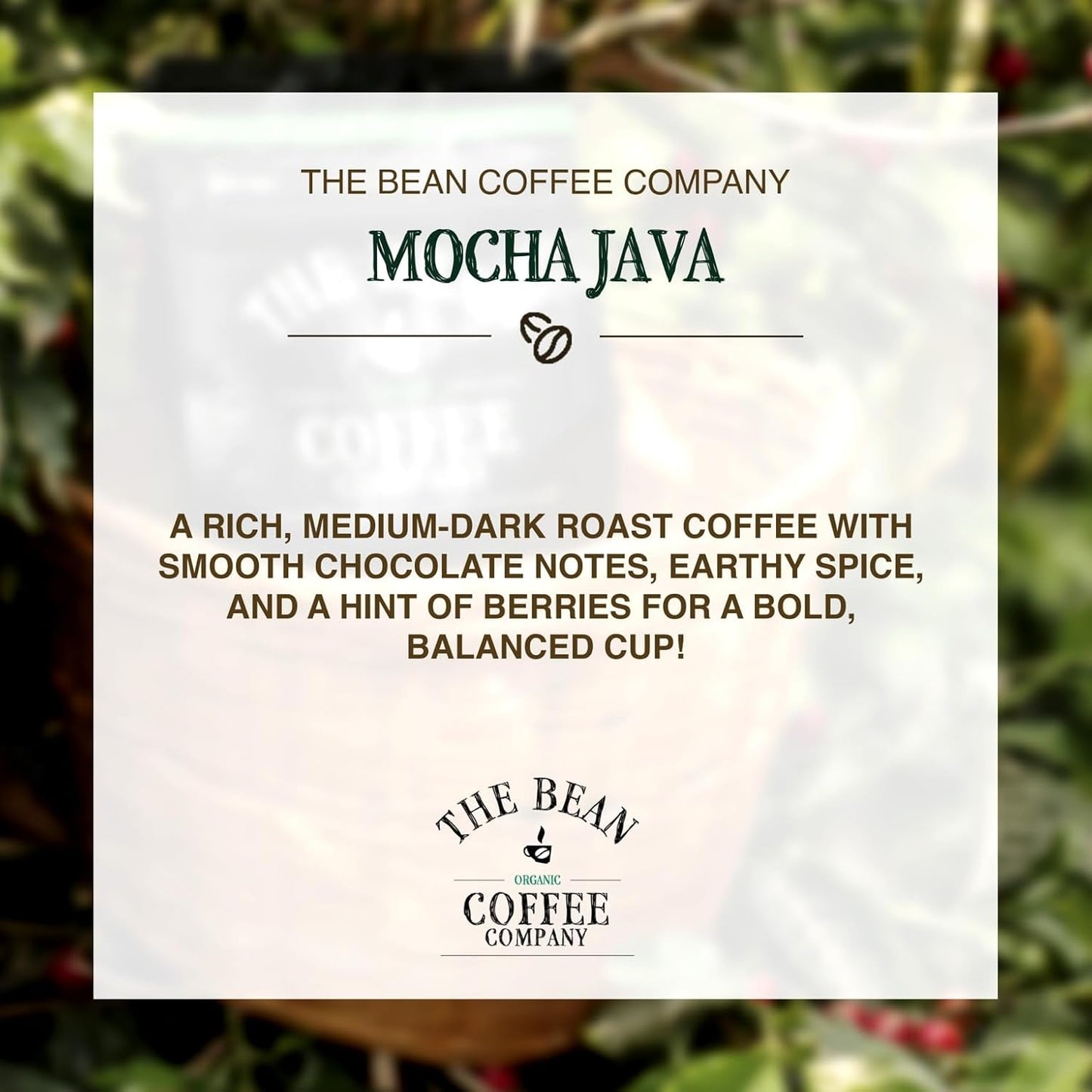 The Bean Organic Coffee Company Mocha Java, Medium Roast, Whole Bean Coffee, 16-Ounce Bags (Pack of 2)