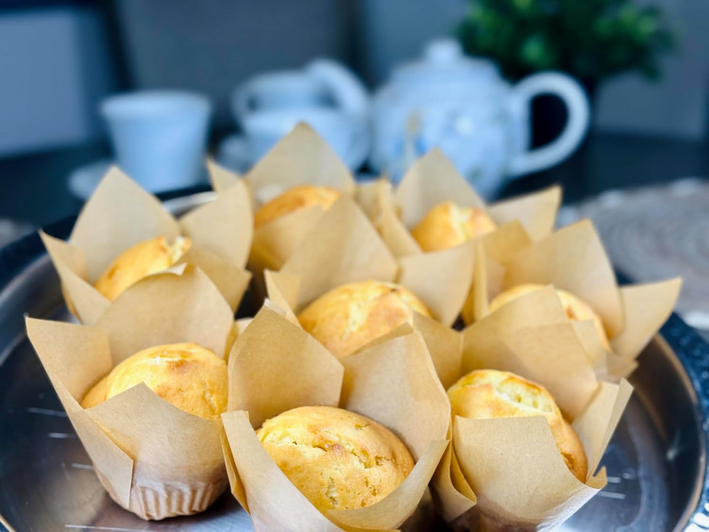 Molibake Vanilla Muffin Mix – Pack of 2 – Premium Vanilla Muffins Baking Mix for Home Oven and Muffin Maker – 14 oz – All-Natural Easy-to-Use Mix for Fluffy, Bakery-Style Homemade Muffins