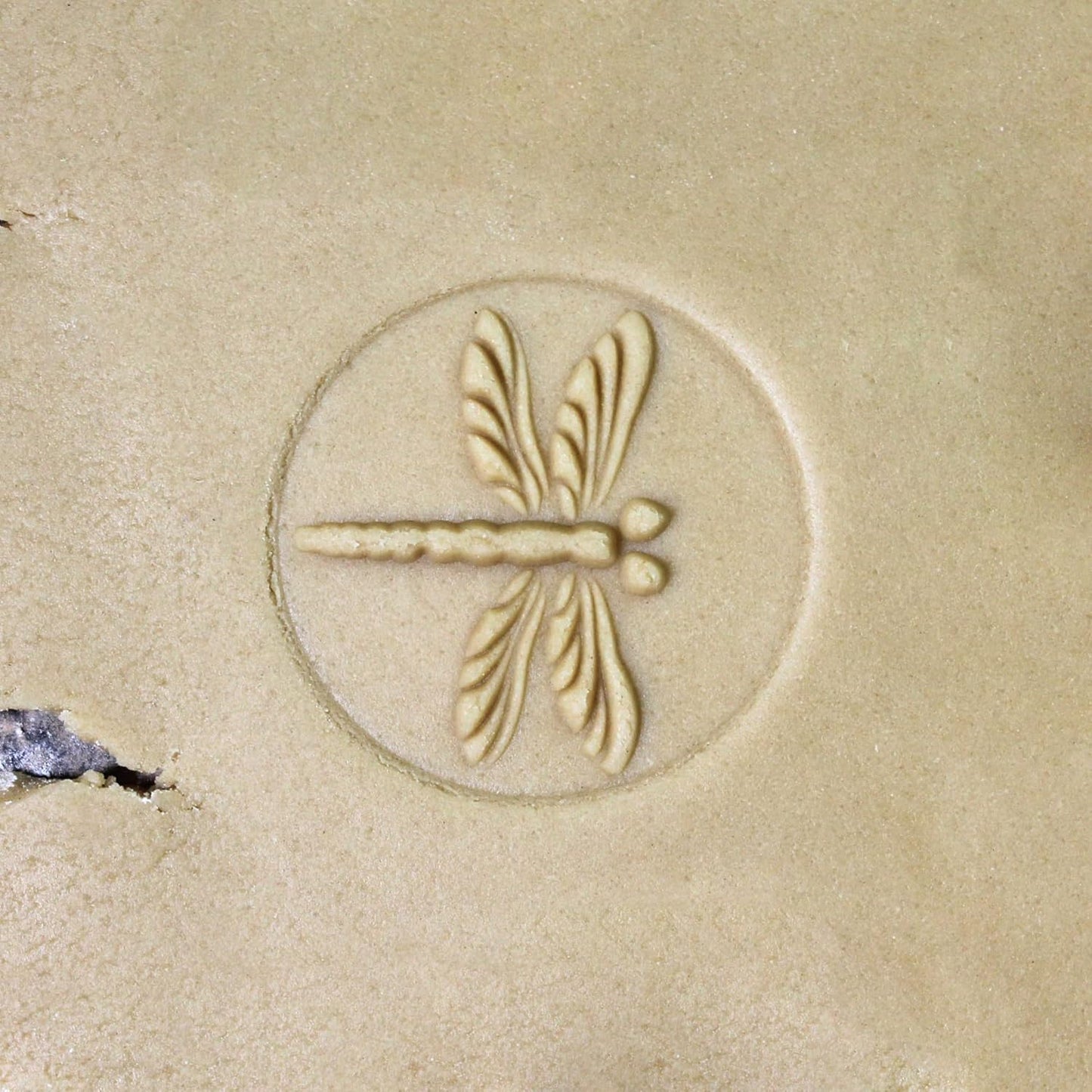 Wood Cookie Stamp, 2.5 Inch (Dragonfly CS-019)