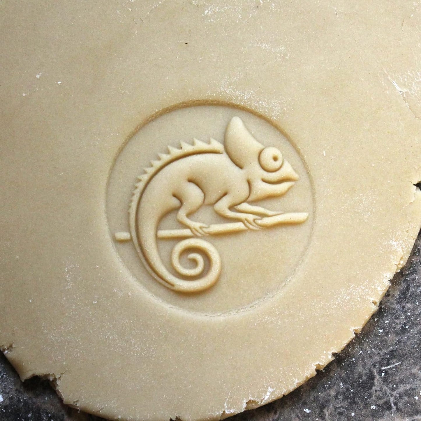 Wood Cookie Stamp, 2.5 Inch (Chameleon CS-020)